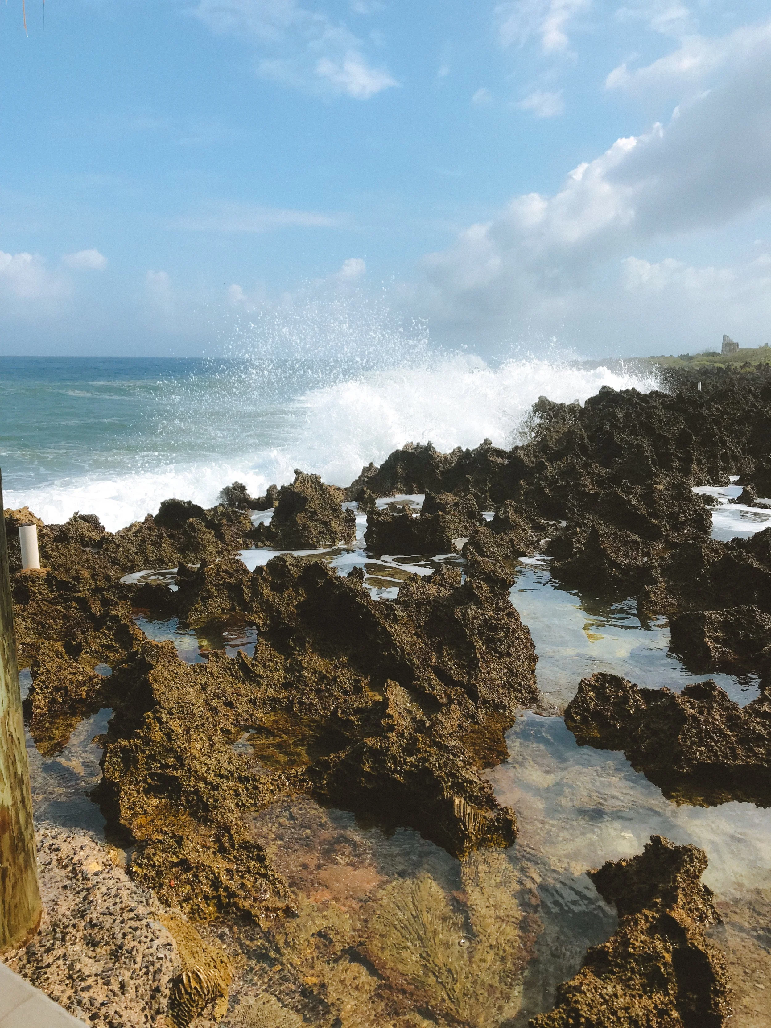 Lava Rocks- Roatan