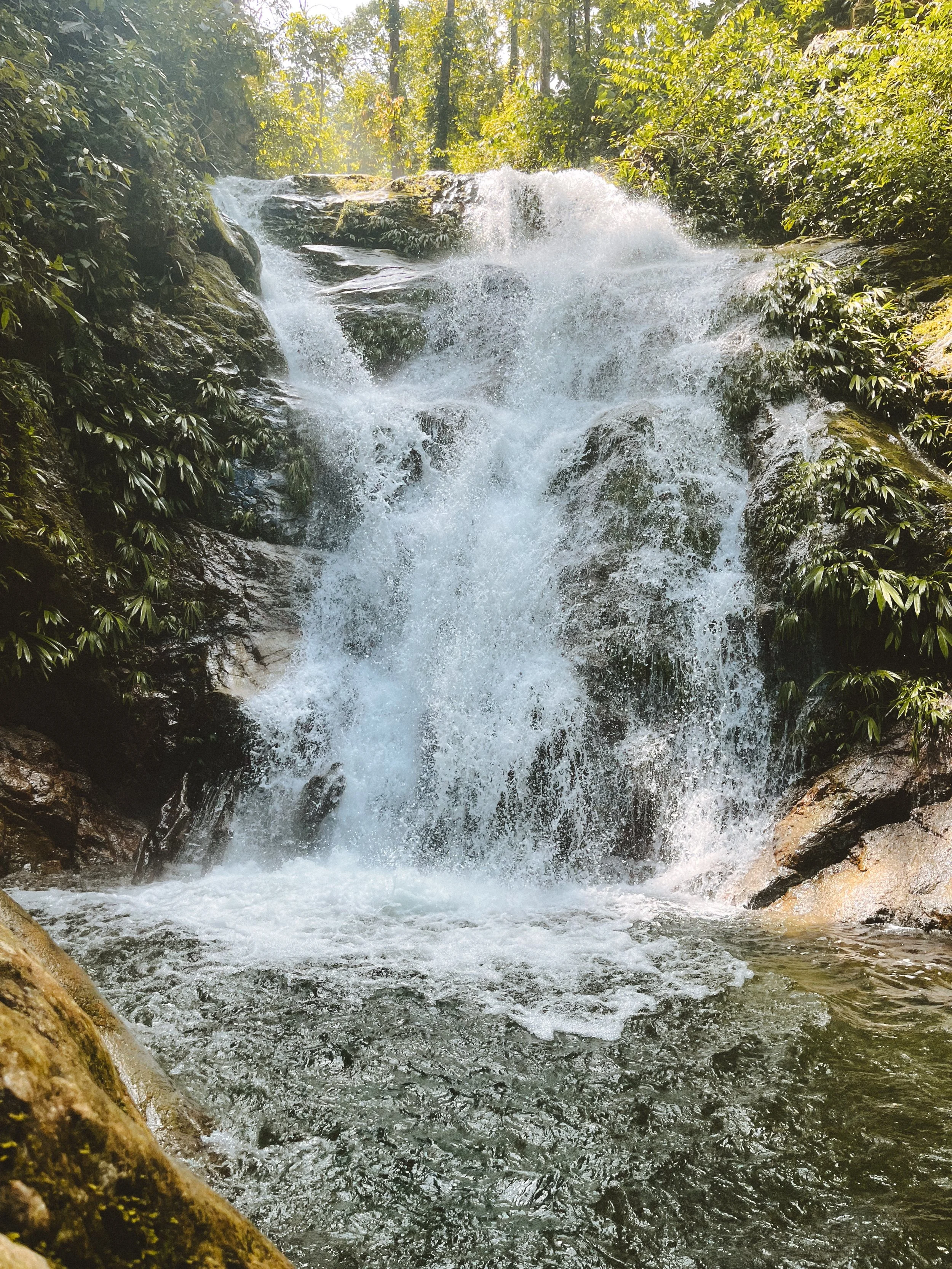 A waterfall cascading down rocks surrounded by lush green foliage in a forest.