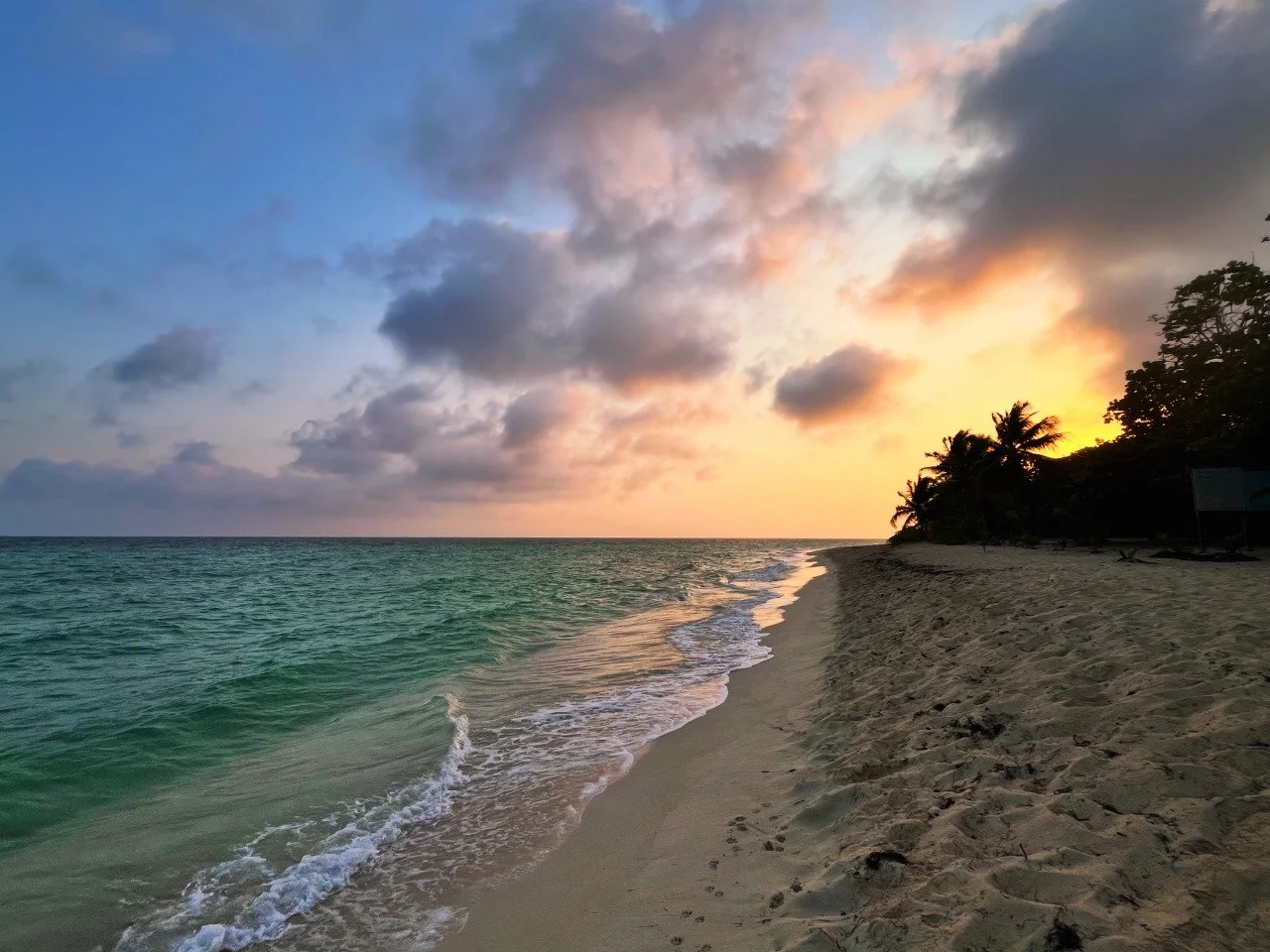 A tranquil beach at sunset with gentle waves, sandy shore, silhouettes of palm trees, and a colorful sky with clouds.