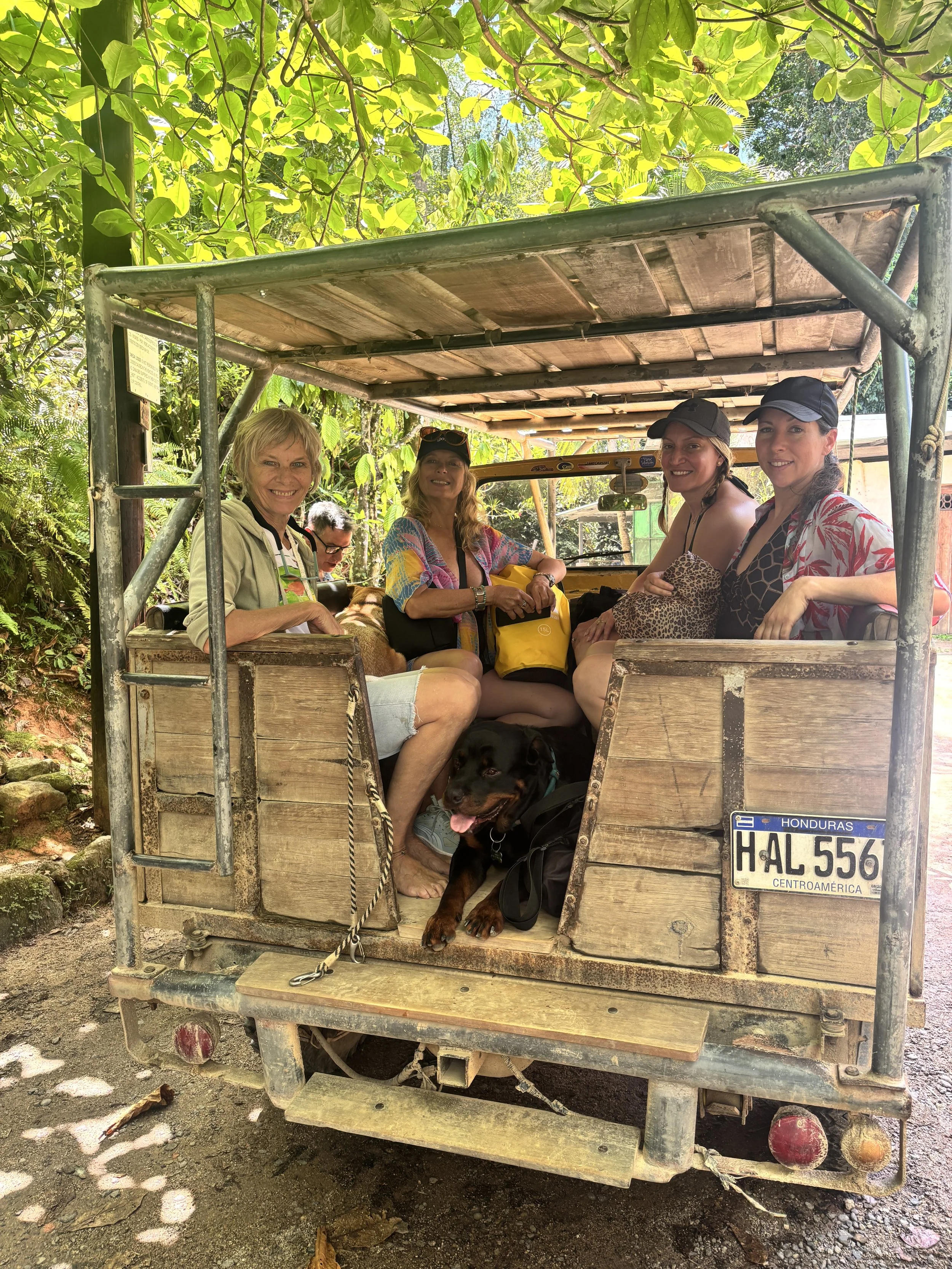Four women and a man sitting on a wooden and metal cart with a dog, surrounded by lush green foliage in a jungle-like setting.