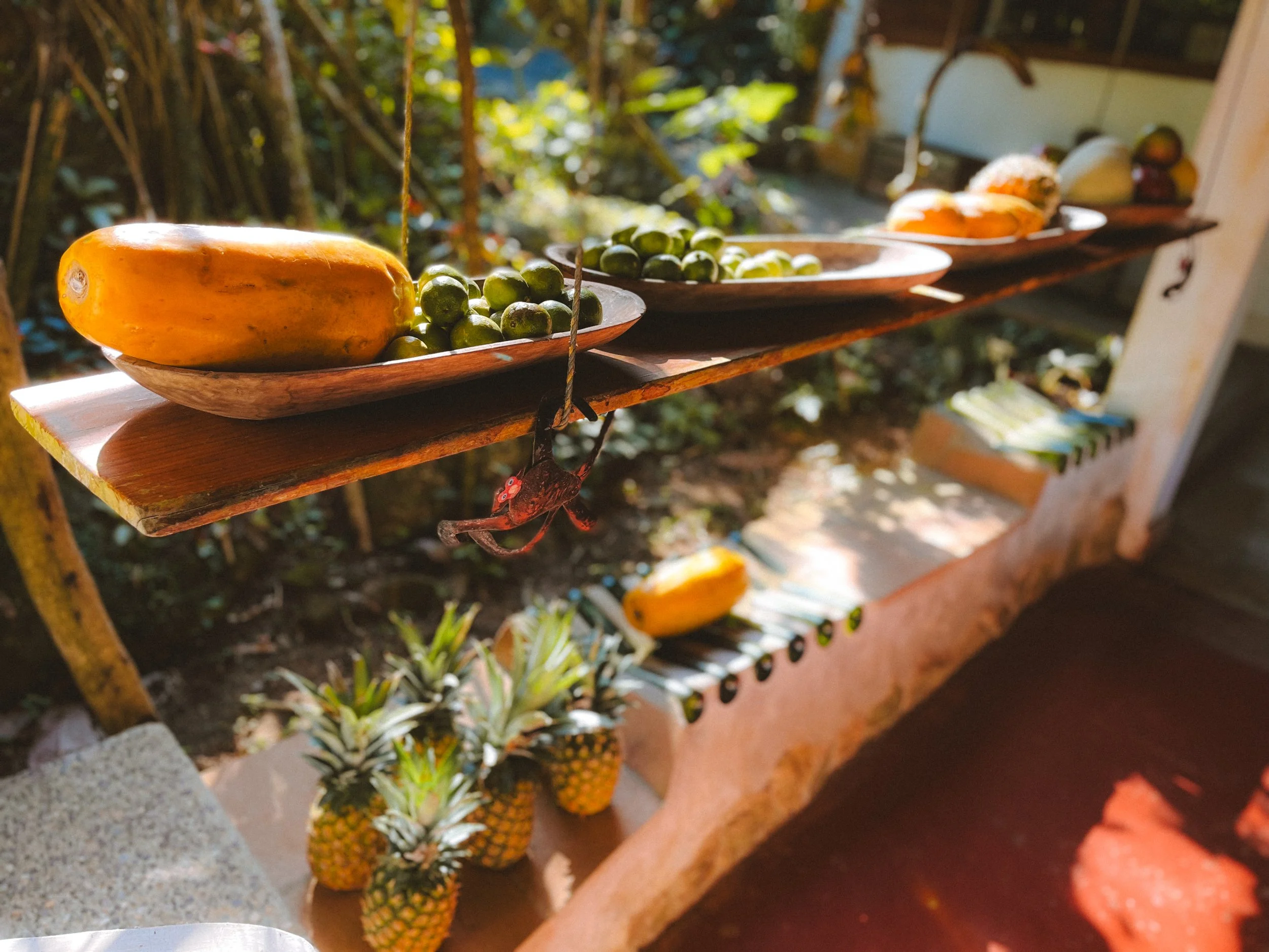 Wooden shelf with bowls of tropical fruits including papaya, green grapes, pineapple, and others, set outdoors in sunlight with trees behind.