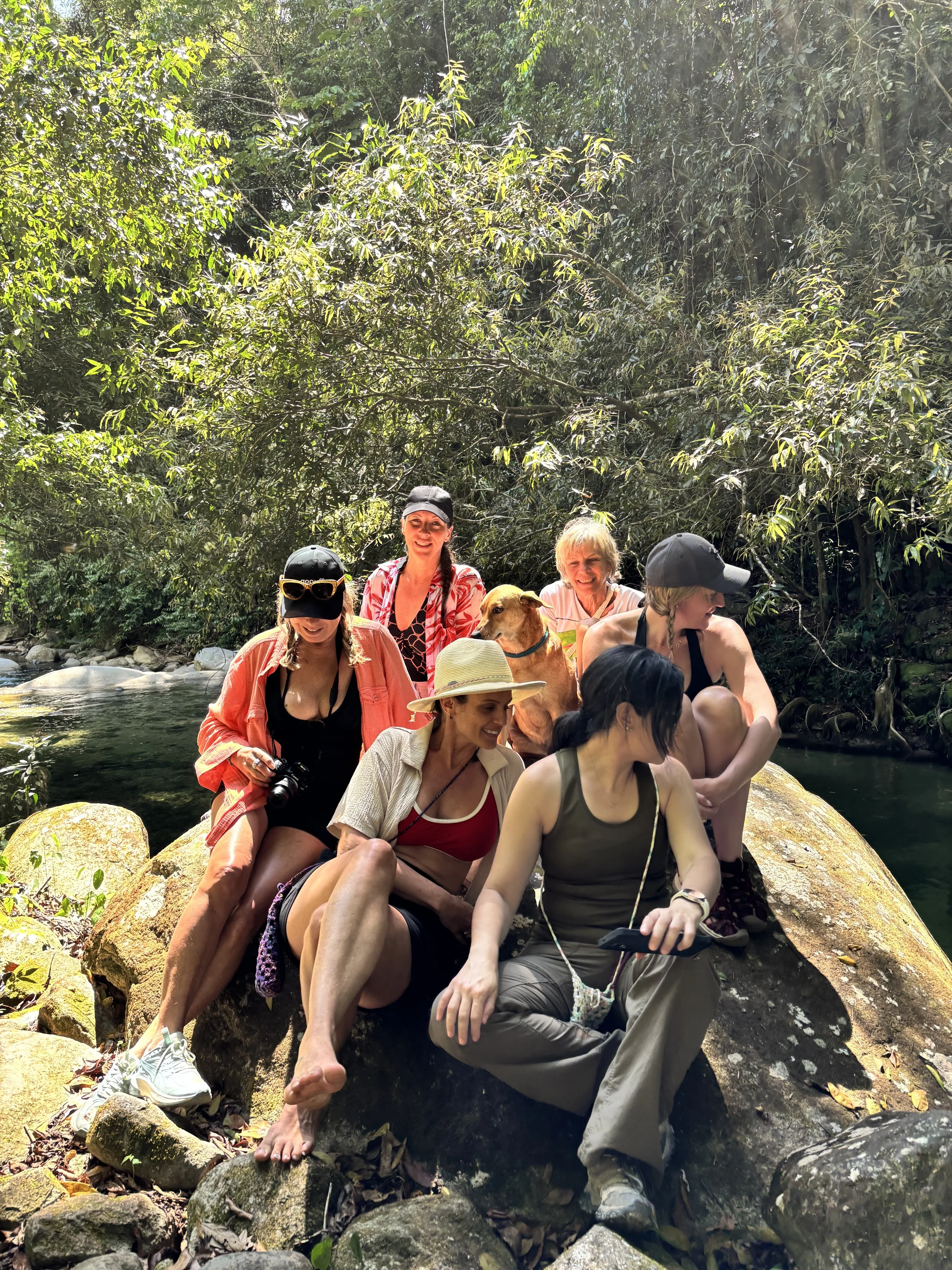 Group of women and a dog sitting on rocks by a river in a lush forest.