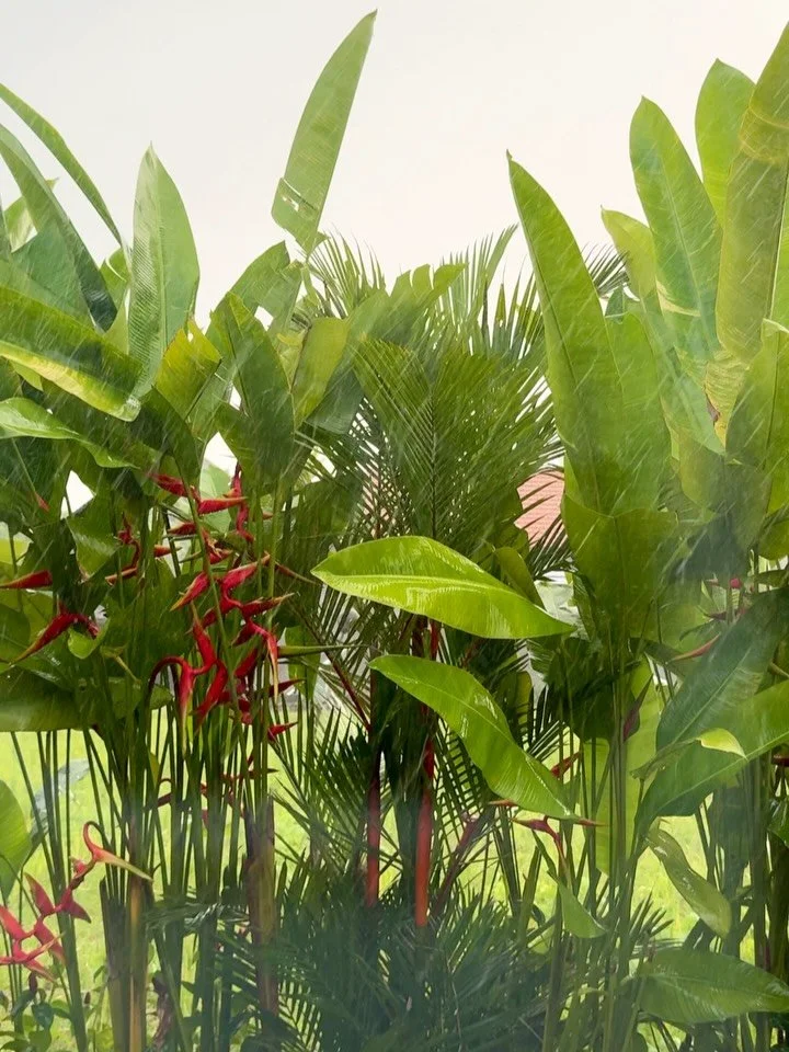 3 1/2 Wochen bin ich hier. Und Bali tut was Bali immer tut. 
Hier ticken die Uhren anders. 
Denn Bali zeigt dir was noch im Schatten liegt. 

Bali ist eine Vulkaninsel und liegt mitten im Erdbeben Gebiet. Was das bedeuten kann, sp&uuml;rst du viellei