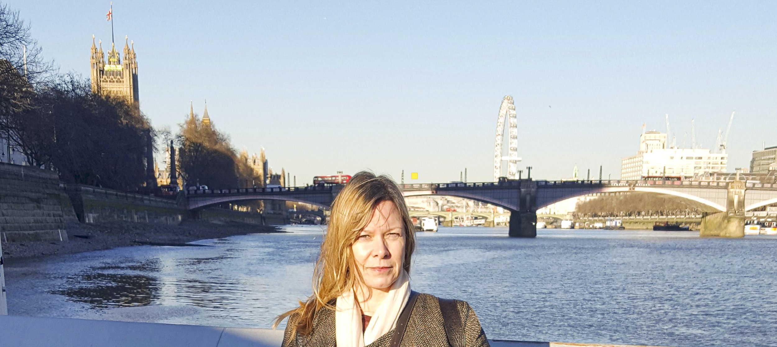 Jenny Nissler, founder and principal assessor of Nissler Ergonomics, covers London and the home counties