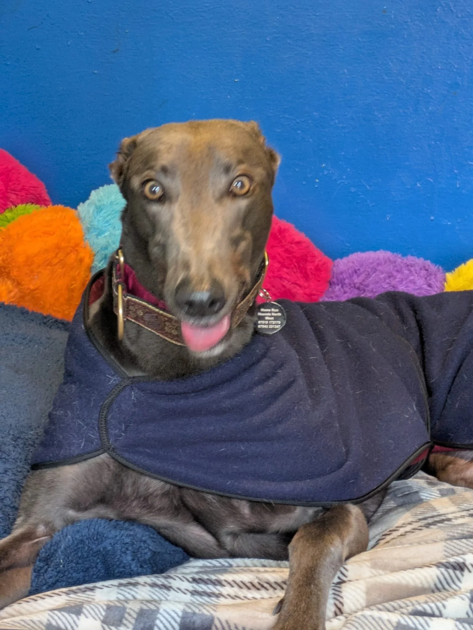 WhatsApp Image 2026-02-08 at 17.42.42.jpeg