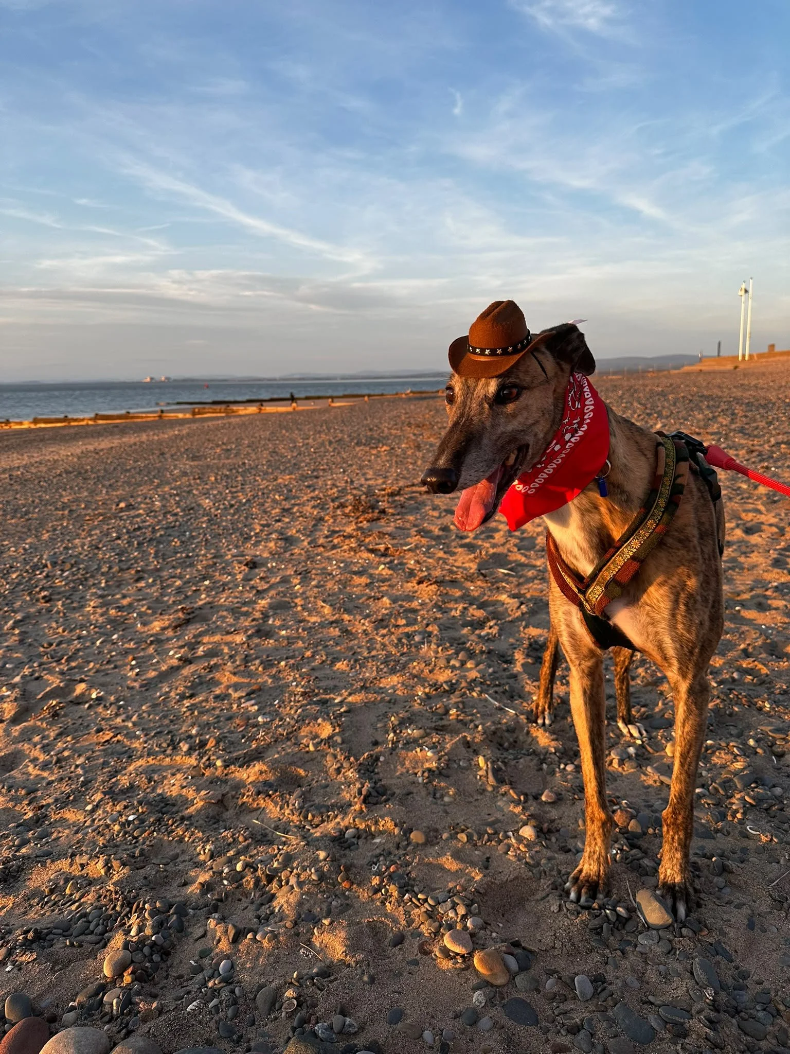 clyde-beach.jpeg