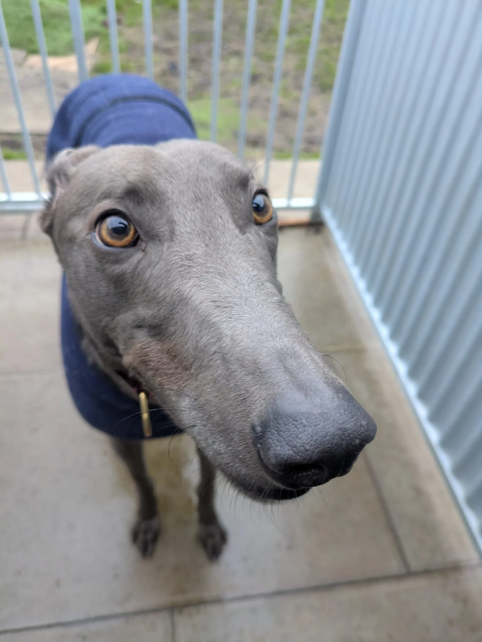 WhatsApp Image 2026-02-08 at 17.42.42 (1).jpeg