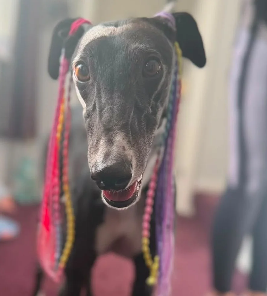 bella001.jpeg