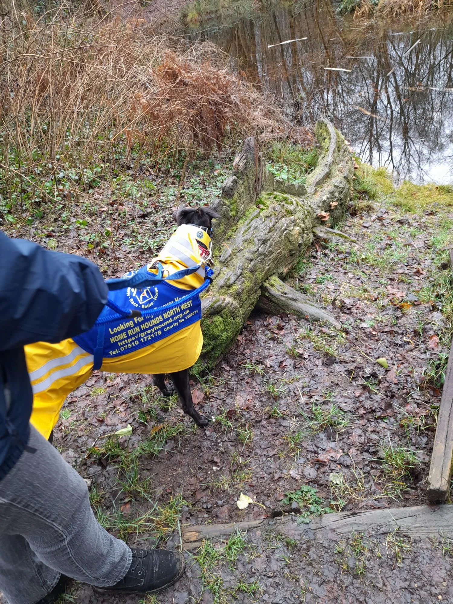 WhatsApp Image 2026-02-07 at 17.48.59.jpeg