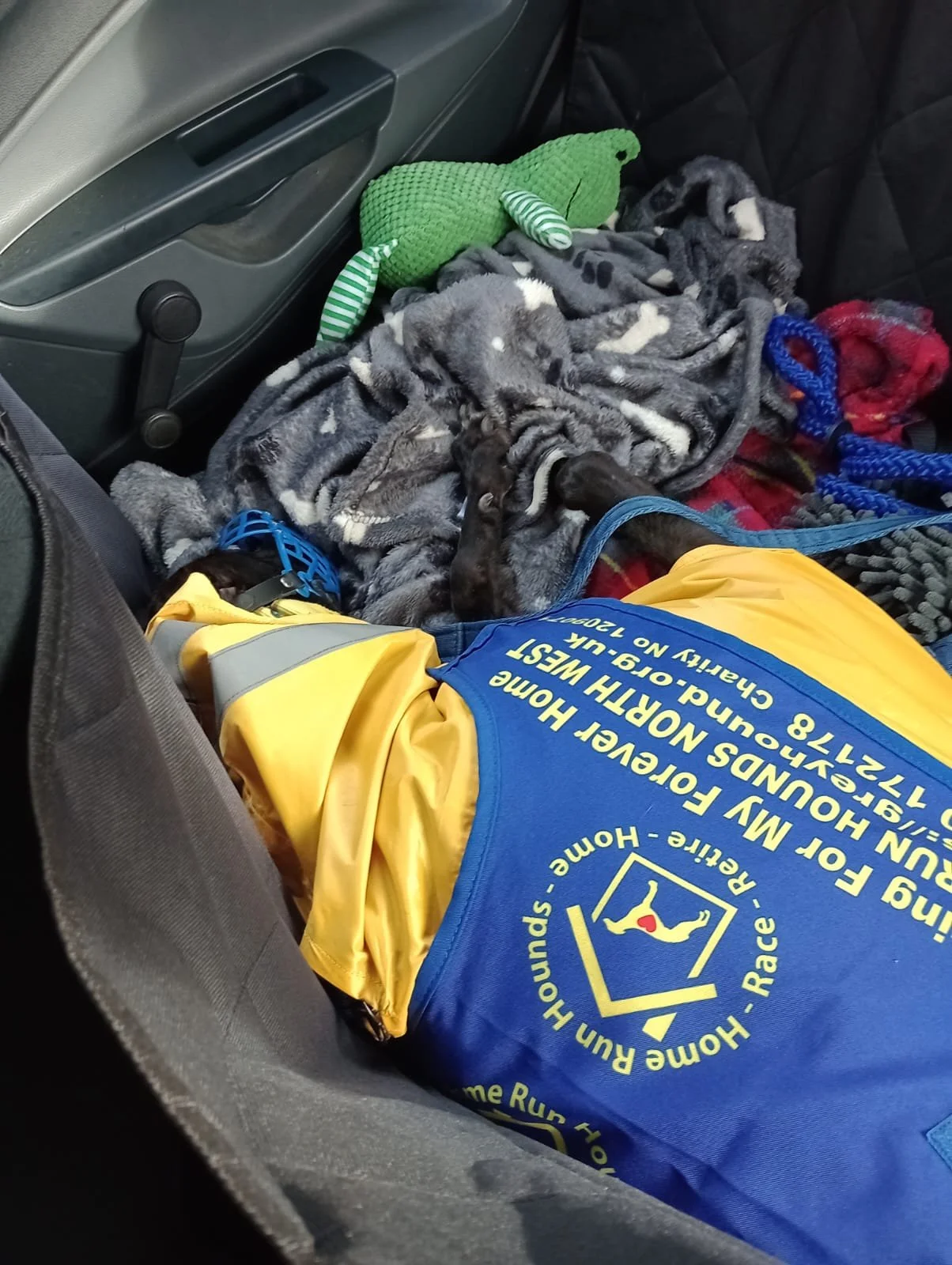 WhatsApp Image 2026-02-07 at 17.48.58.jpeg