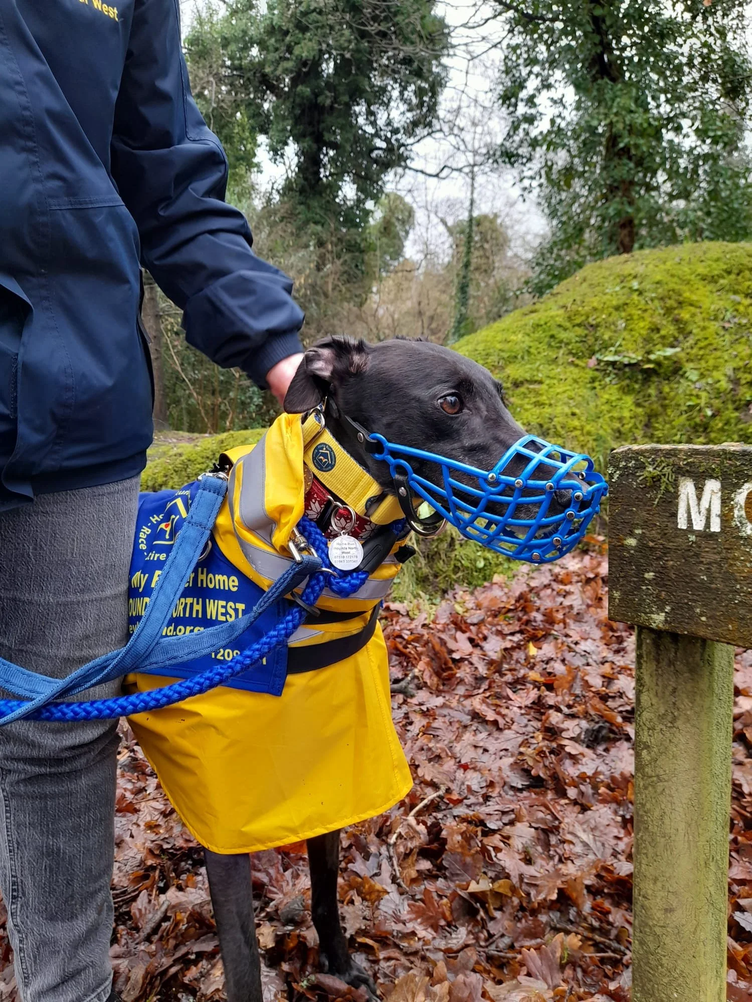 WhatsApp Image 2026-02-07 at 17.48.58 (1).jpeg