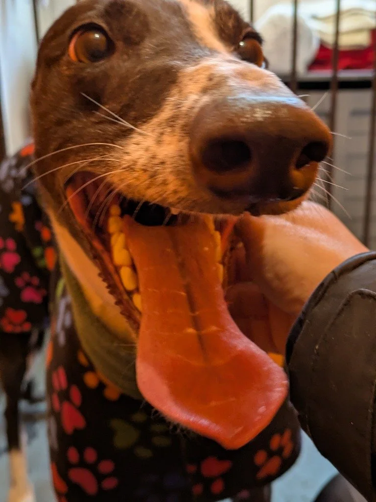 Blythe Blaze (Blaze)