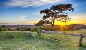 New Park Farm, Brockenhurst.