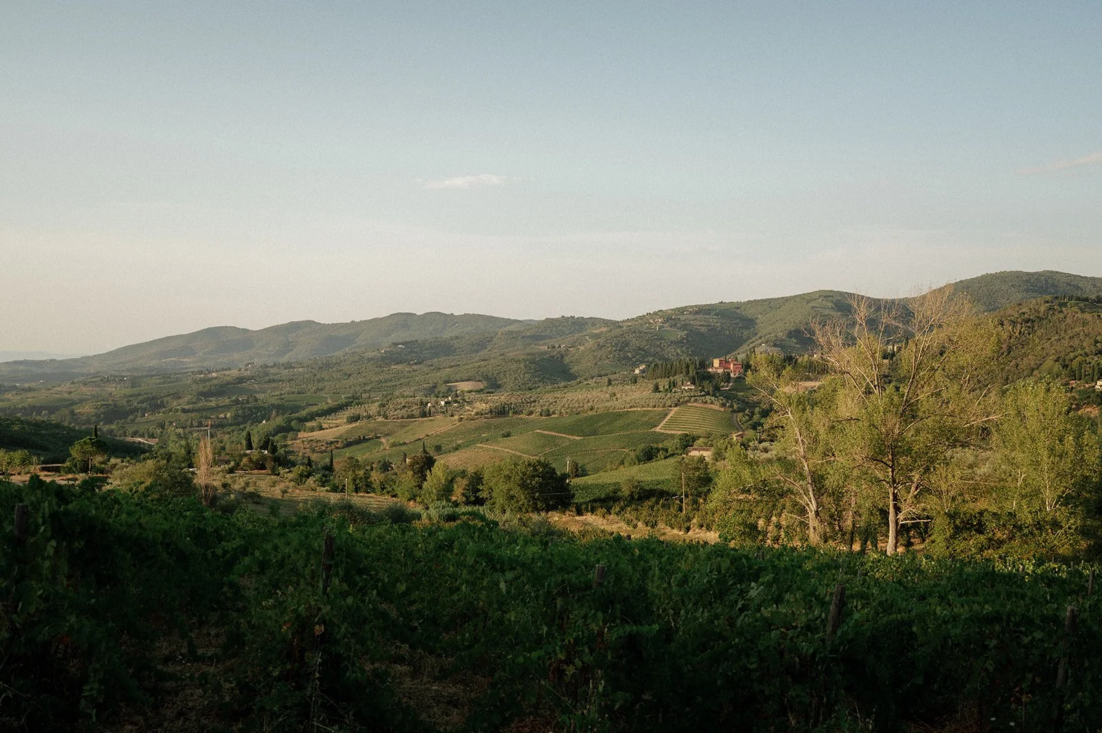 MalouVonBaumhauer - Tuscany wedding L_A-435.jpg