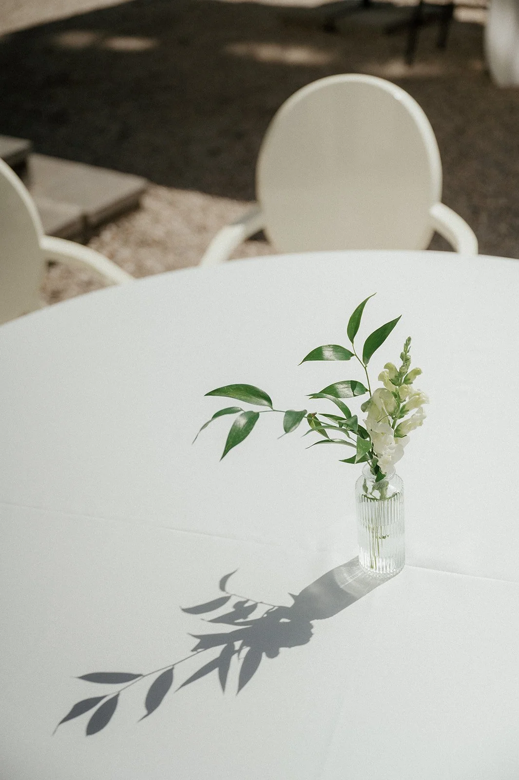 MalouVonBaumhauer - Wedding S_B-85.jpg