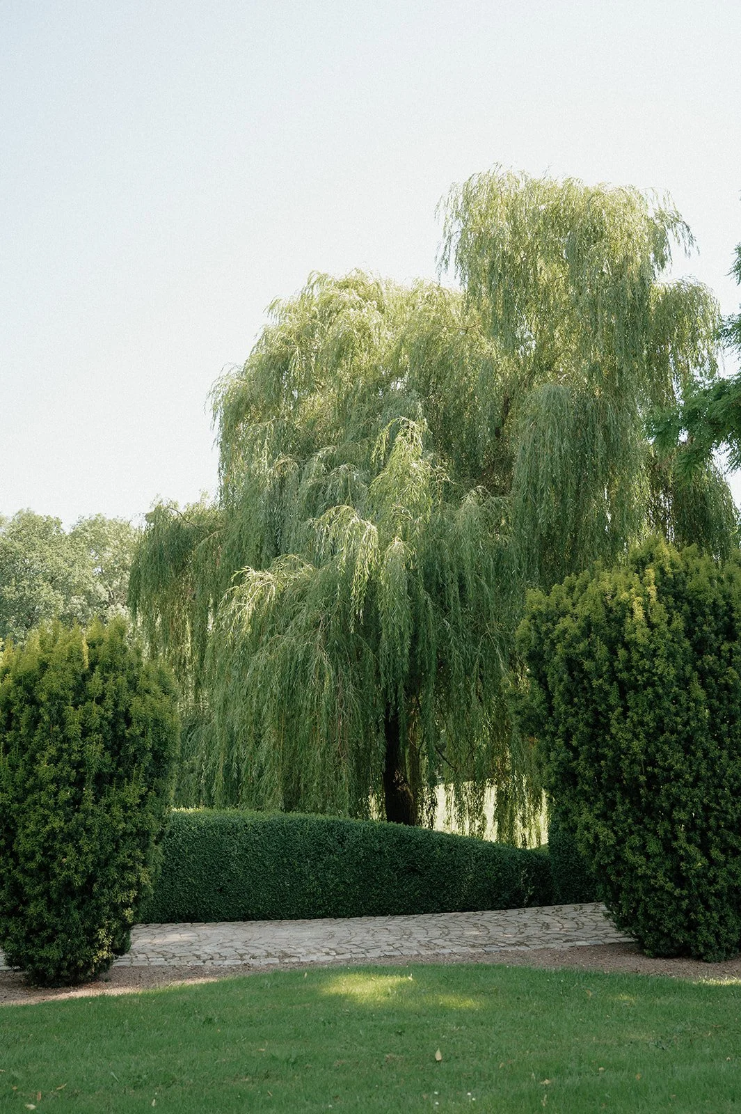 MalouVonBaumhauer - Wedding L_J-9.jpg