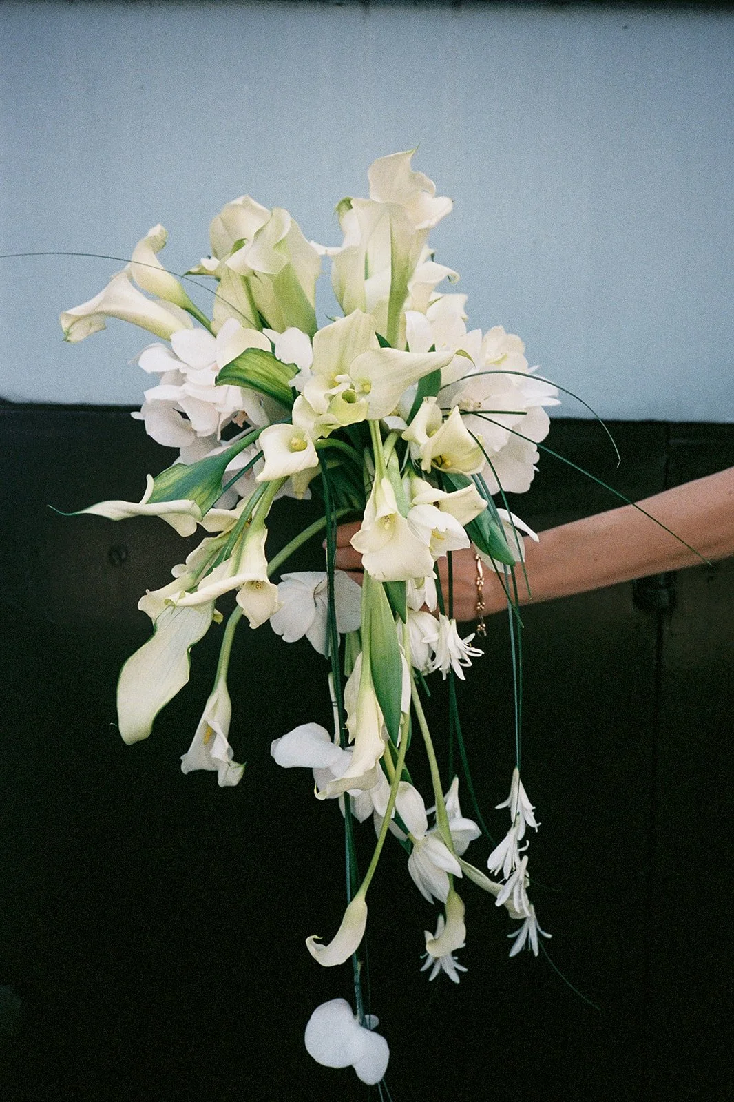 MalouVonBaumhauer - wedding A_E analog-5.jpg