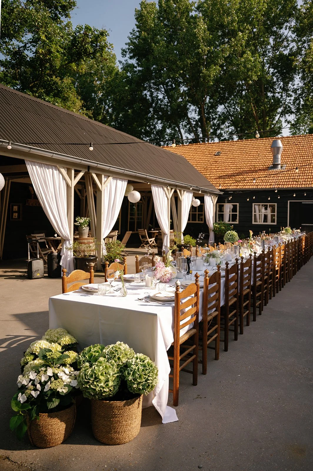 MVB - wedding H_C  323.jpg