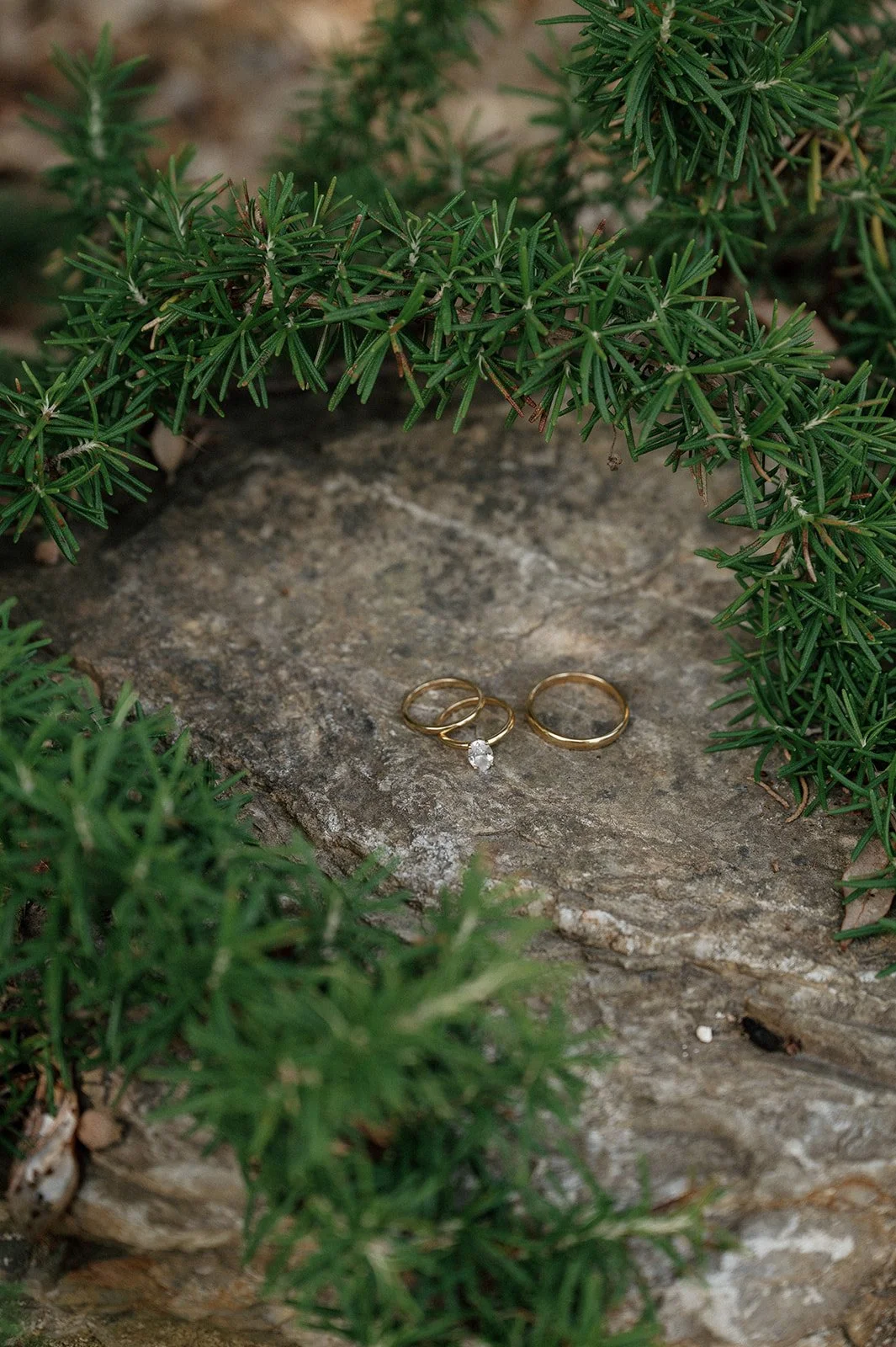 MalouVonBaumhauer - Tuscany wedding L_A-17.jpg