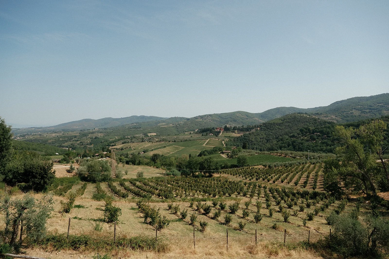MalouVonBaumhauer - Tuscany wedding L_A-3.jpg