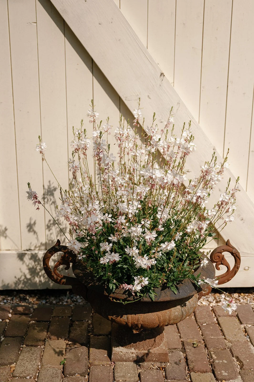 MVB - wedding H_C  255.jpg