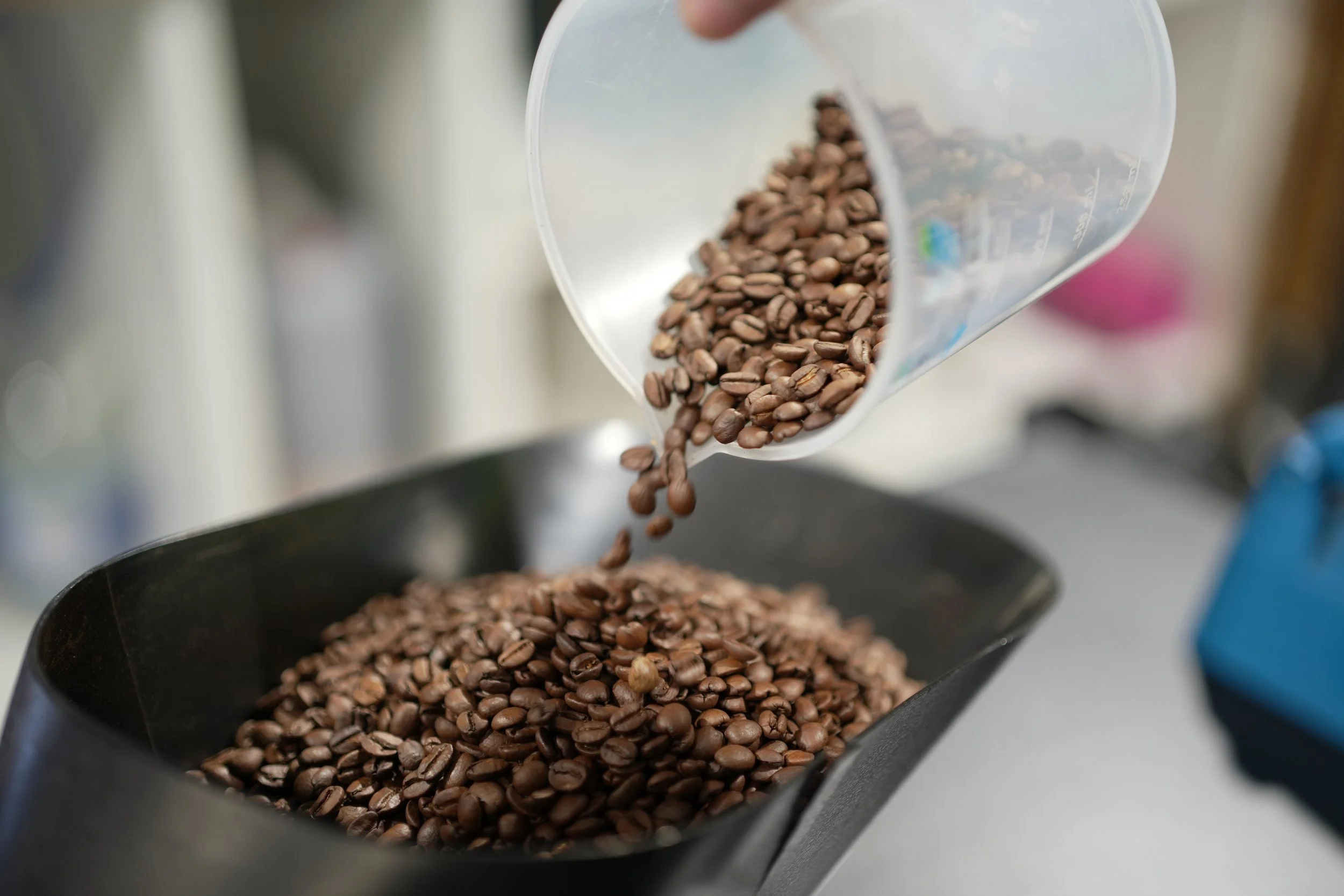 Coffee beans being poured from a clear container into a black container.