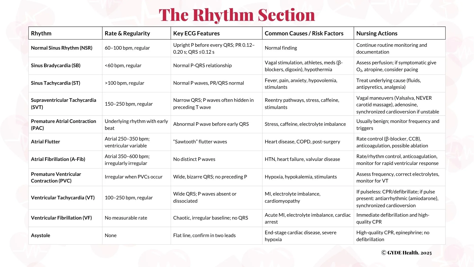 The Rhythm Section Infographic.jpg