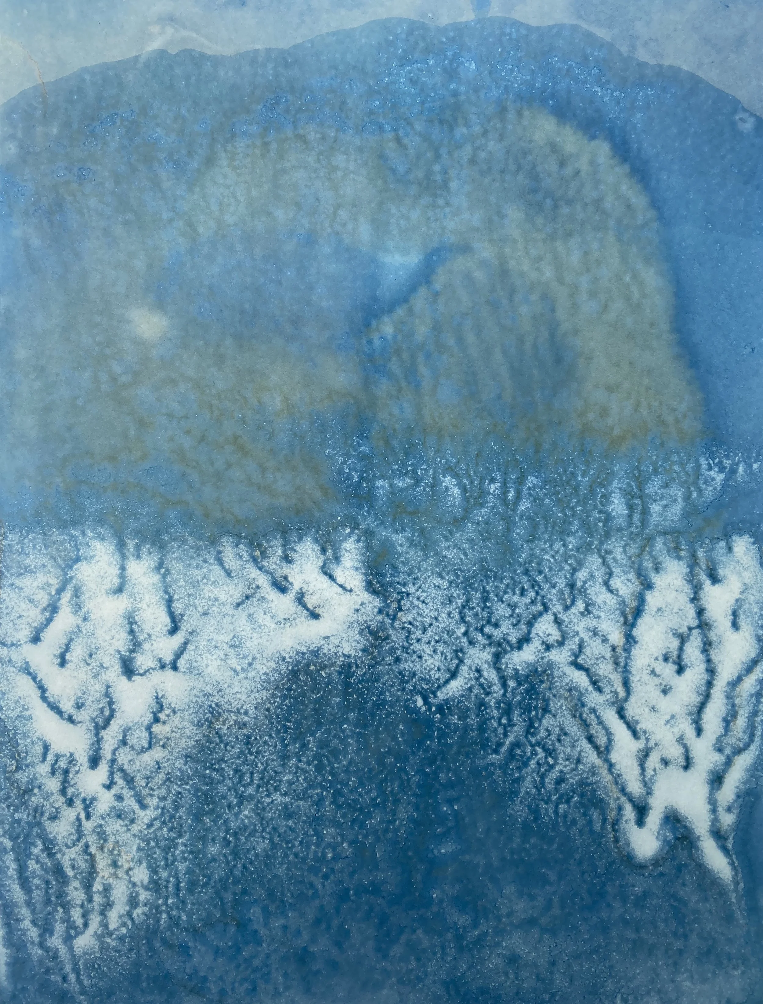 Great Lake 4 Summer (Lake Michigan, North Beach, Racine, Wisconsin) 2025
Cyanotype chemistry, freshwater, sand, sunlight
11"x17" on Hahnemuhle watercolor paper, 300 gsm