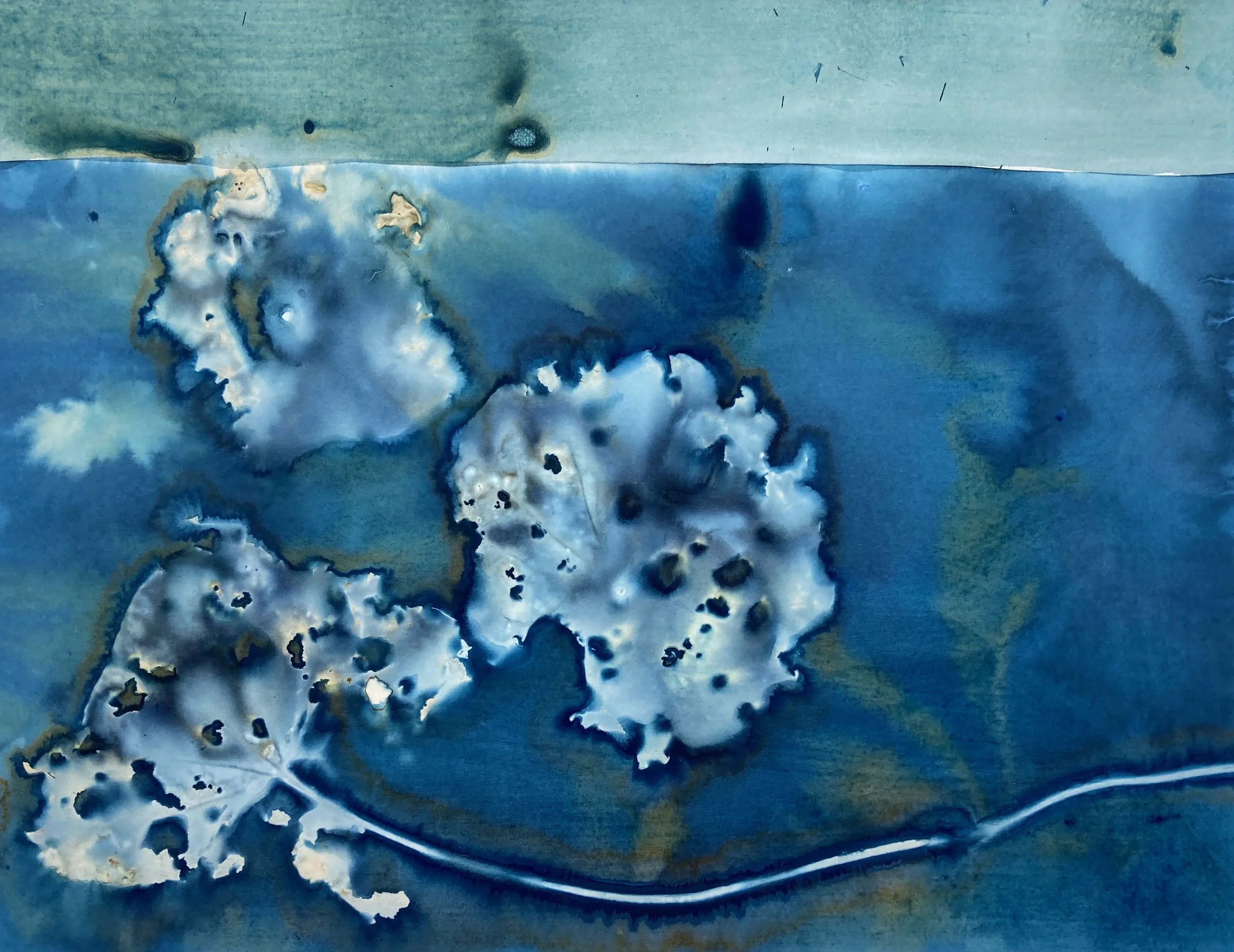 Nasturtium #3 Autumn
Nasturtium leaves, cyanotype chemistry, sunlight, fog                                         
11"x14" Fabriano Artistico watercolor paper,  300gsm, 2024 SOLD