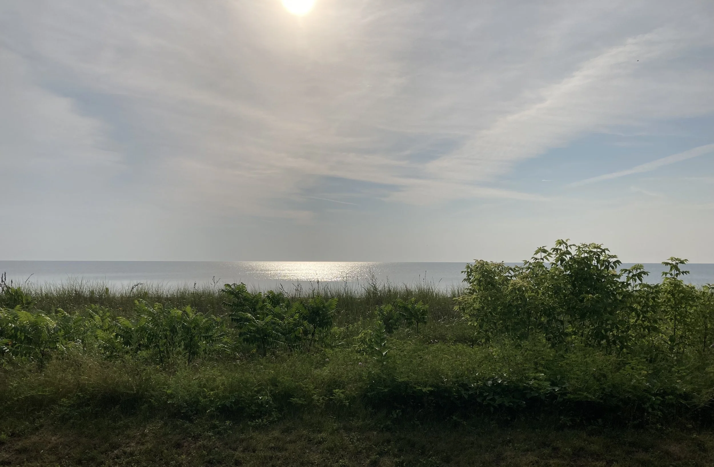 Lake Michigan, Summer (Zoo Beach, Racine, Wisconsin) 2025 - digital photograph