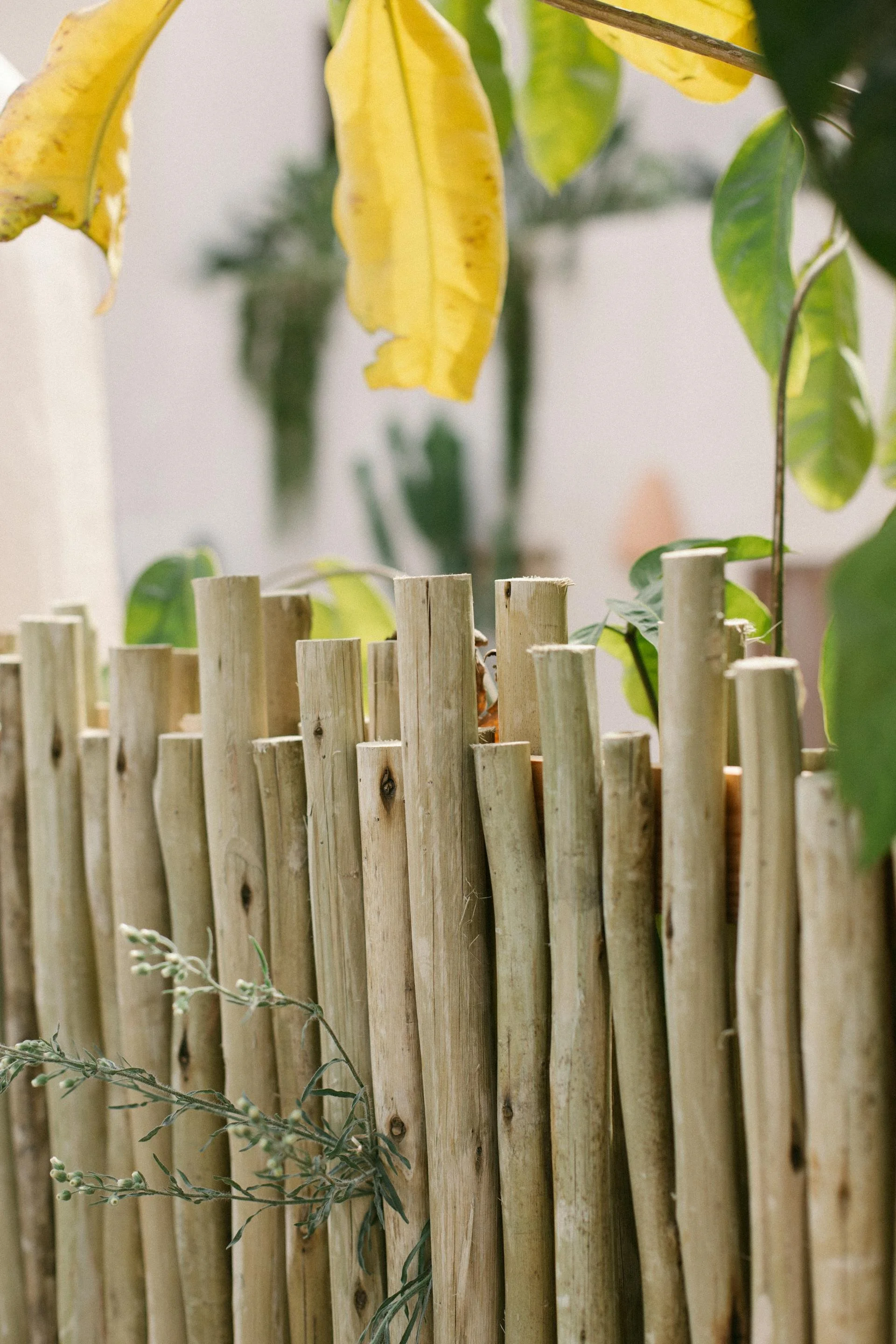 Een houten kastanje hekwerk, als natuurlijke afscheiding in de ecologische tuin