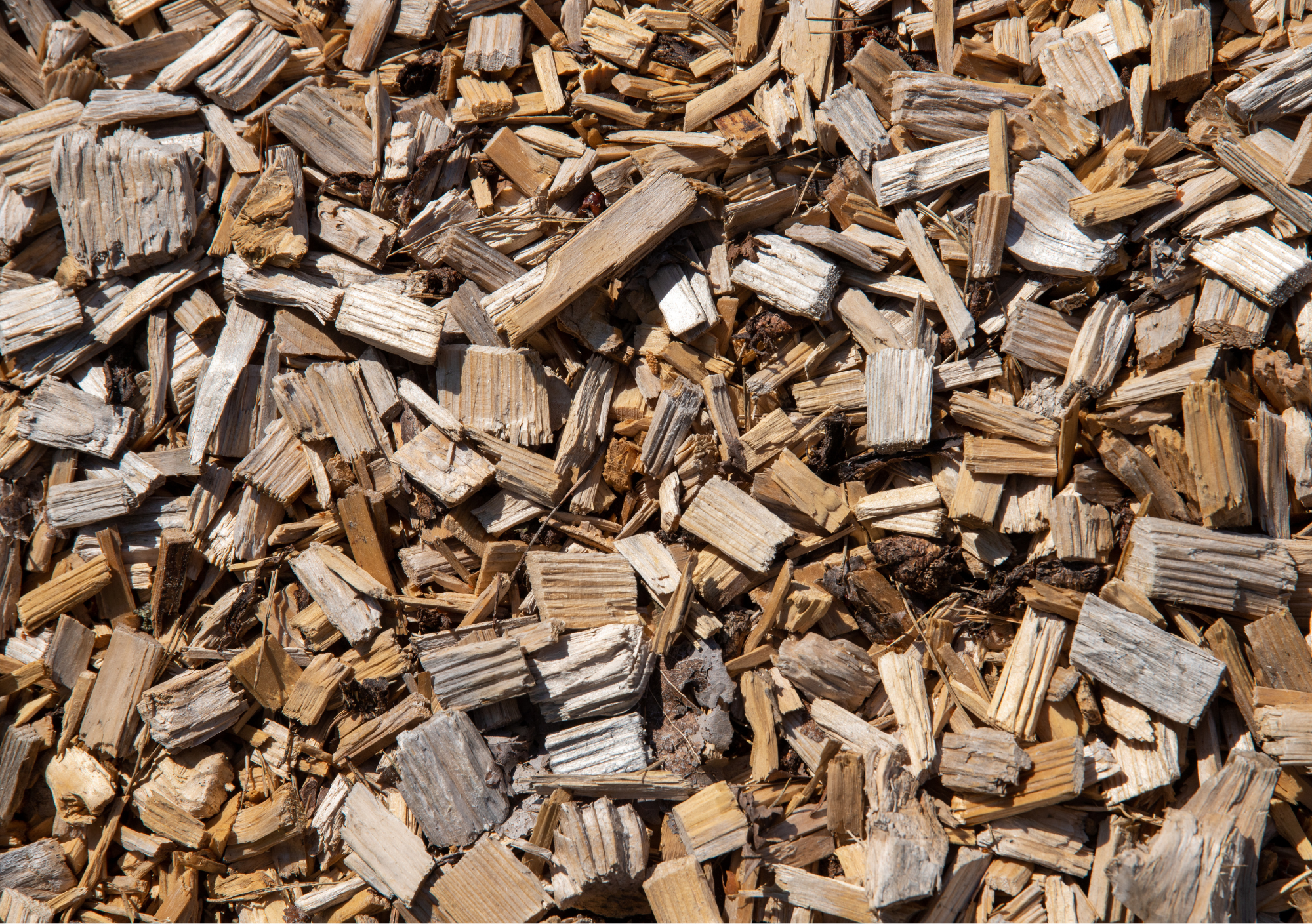Pad van houtsnippers in de tuin