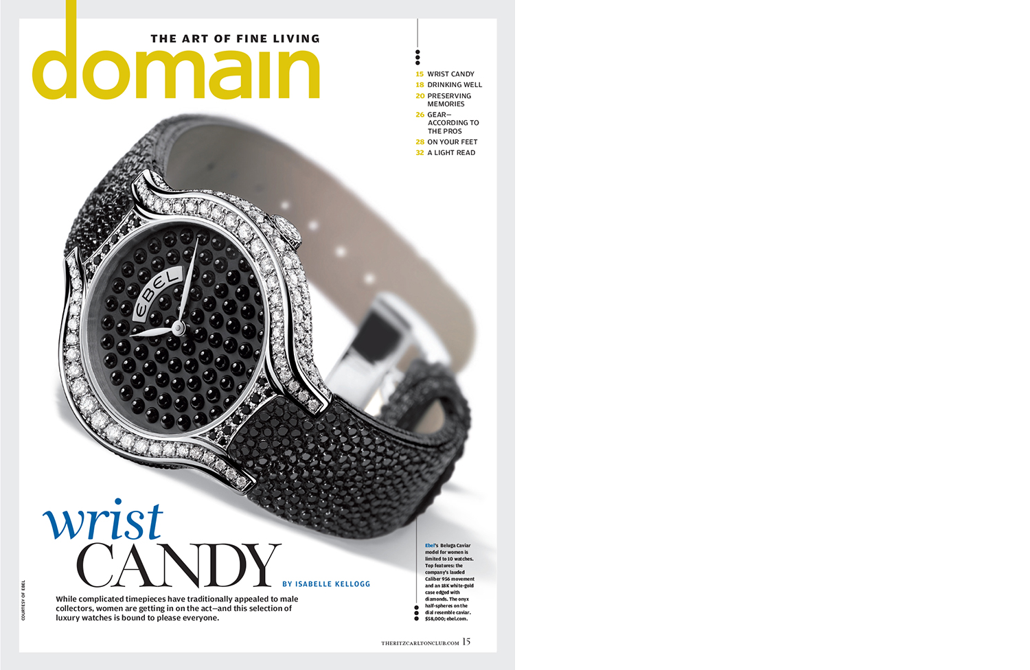 Ritz Carlton Elevations 2.png