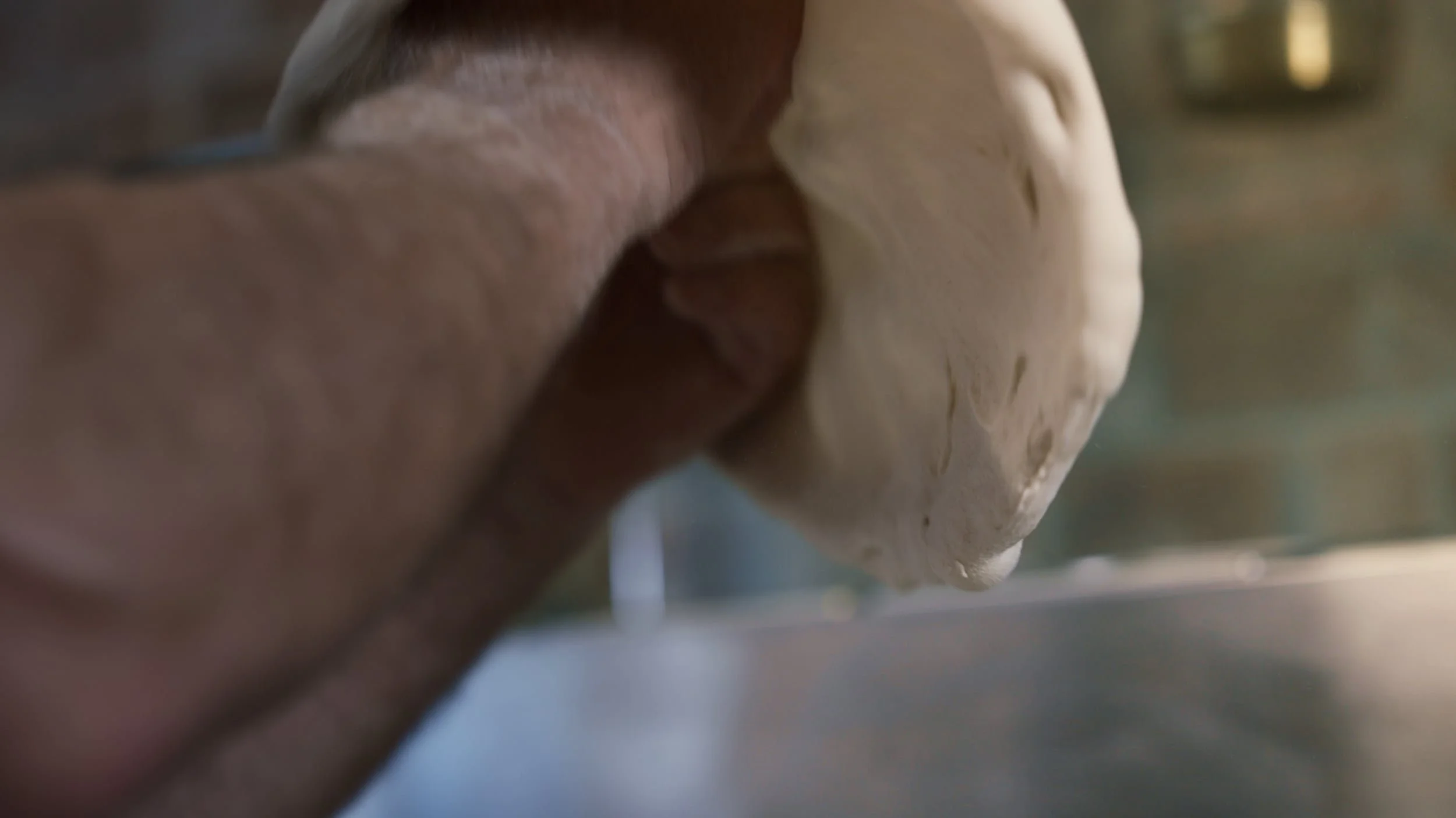 Main masculine en train de façonner une boule de pâte à base de farine.