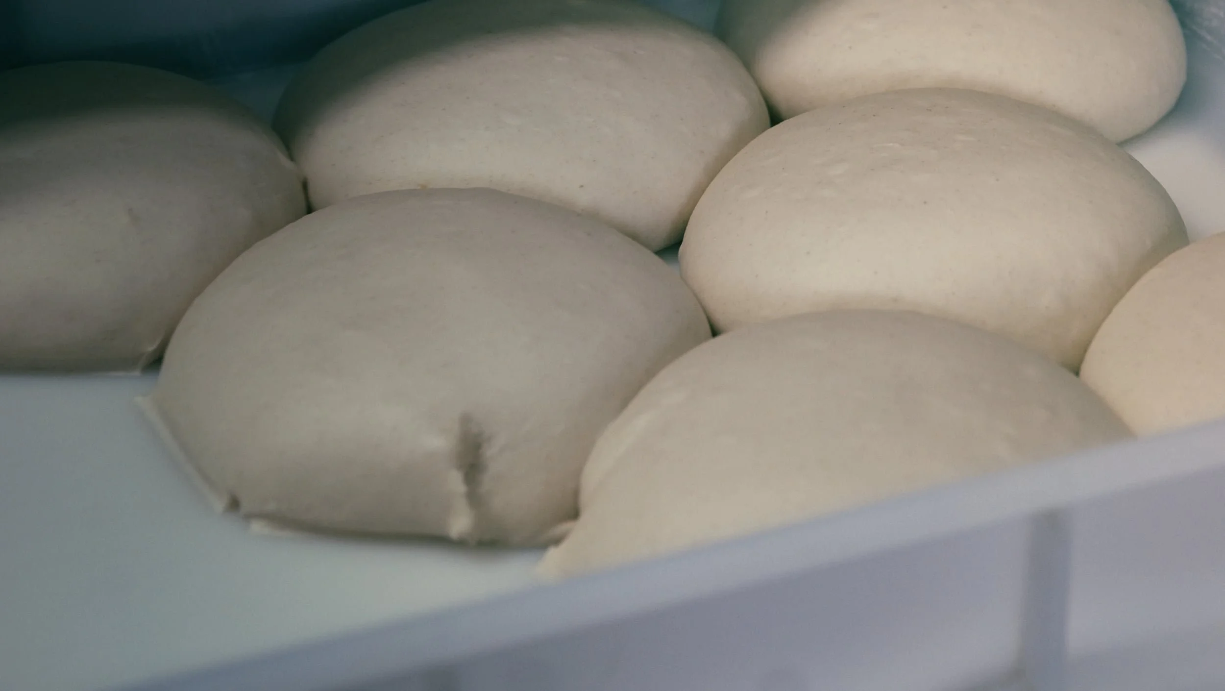 Gros plan de boules de pâte à pizza dans un moule.