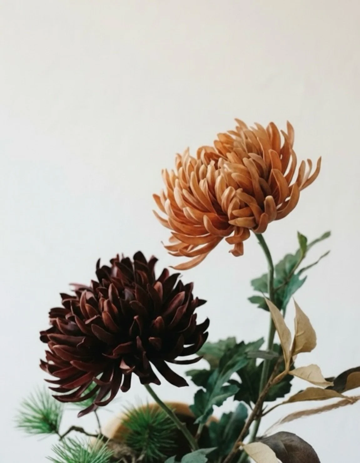 MASAKO TAKAMATSU 
SIGNATURE
a luxury line of MASAKO MODEST

#マサコモデスト
#masakomodeste
#名古屋
#プリザーブドフラワー
#アーティフィシャルフラワー

masako modesteでは、アーティフィシャルフラワー（高級造花）を使用した、洗練されたデザインの作品を販売しております。
「生花を飾るのが難しい場所でも、本物の彩りを。」
お手入れ不要で美しさが続くため、開店祝いや新築祝い、大切な方へのフラワーギフトとしても