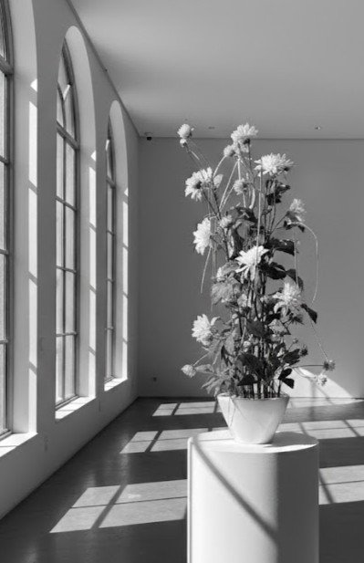 「あいちの名工」受賞デザイナー 高松雅子による、コンクール受賞作品の展示風景。光が差し込む空間に佇む、洗練された大型のフラワーインスタレーション。