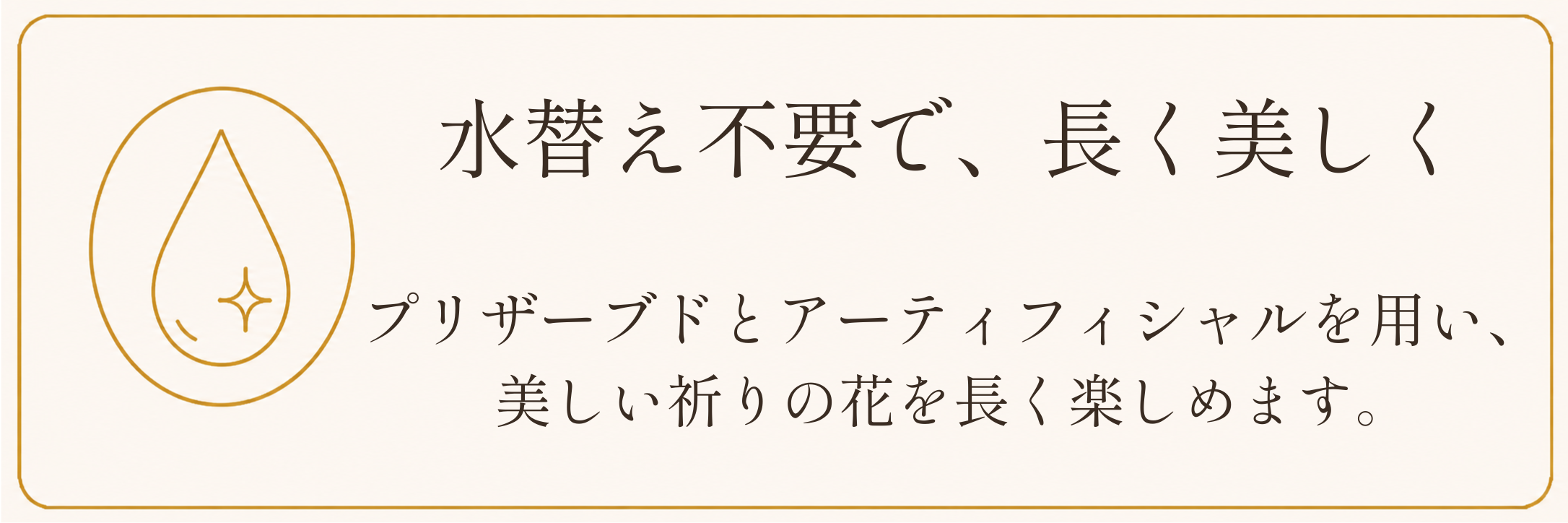装飾画像