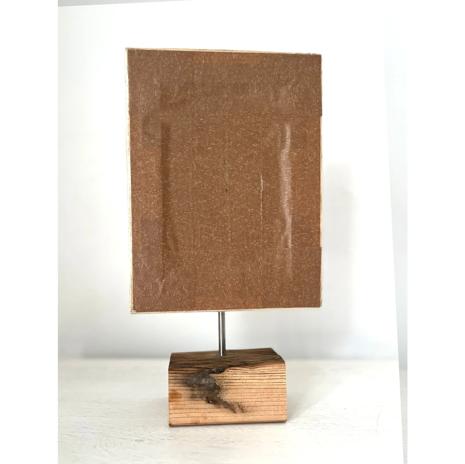 Seraph orange back.jpg