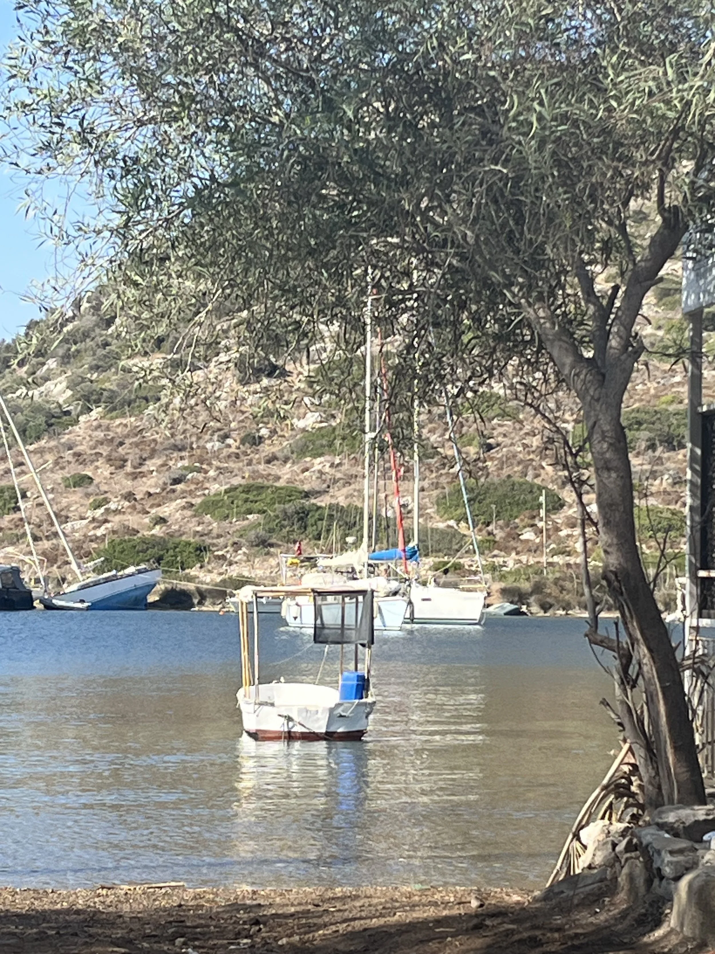 IMG_7936.jpeg