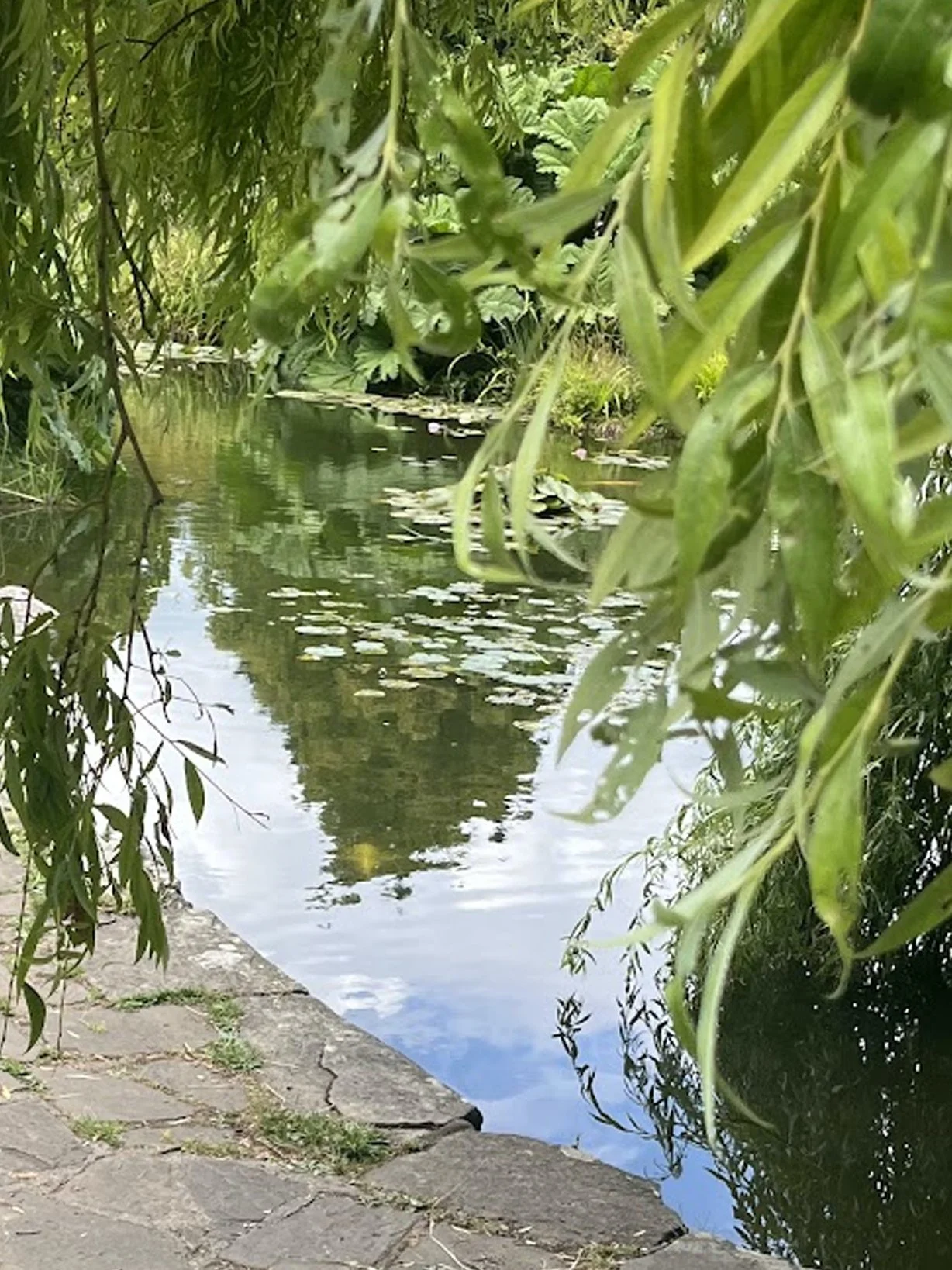 reflections 3.jpg