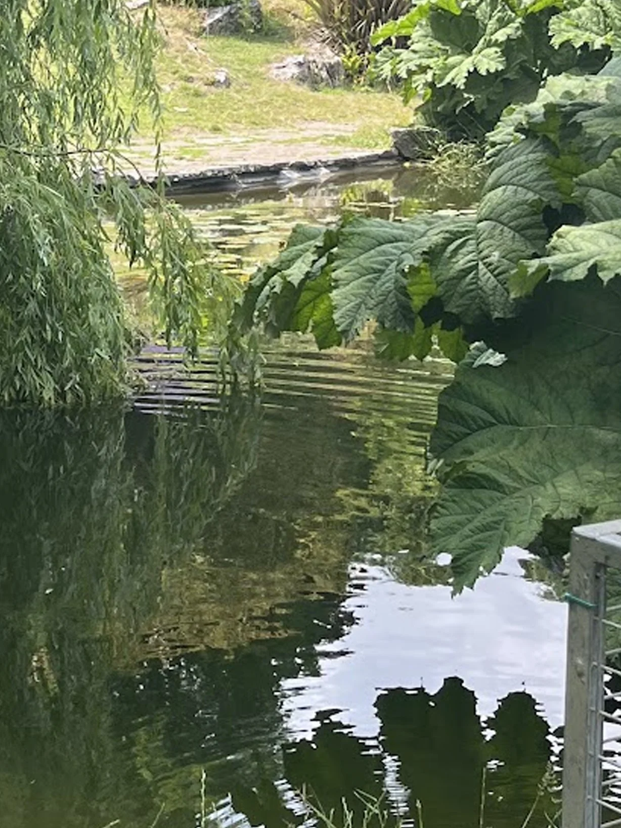 reflections 10.jpg