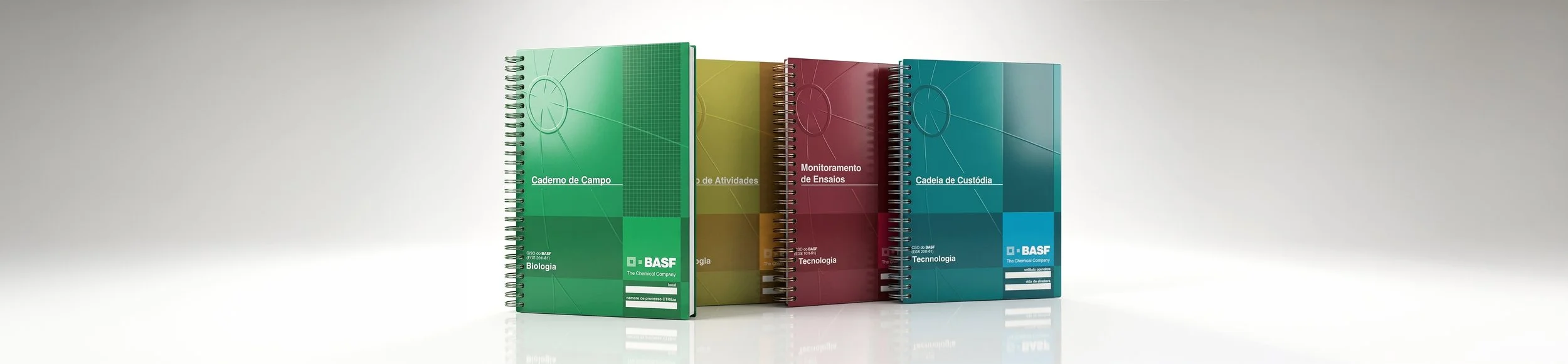 Visual Identity and Branding