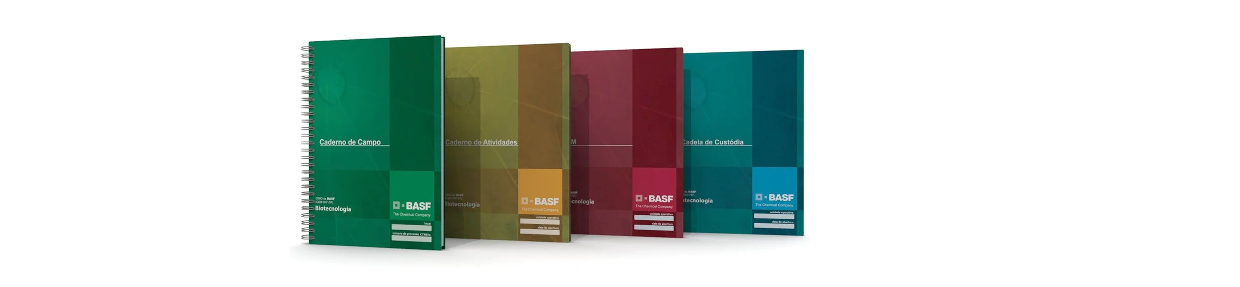 Visual Identity and Branding