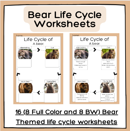 Schermafbeelding 2026-01-05 om 12.38.10.png