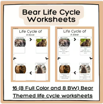 Bear Life Cycle Worksheets with Real Images | Early Science Sequencing