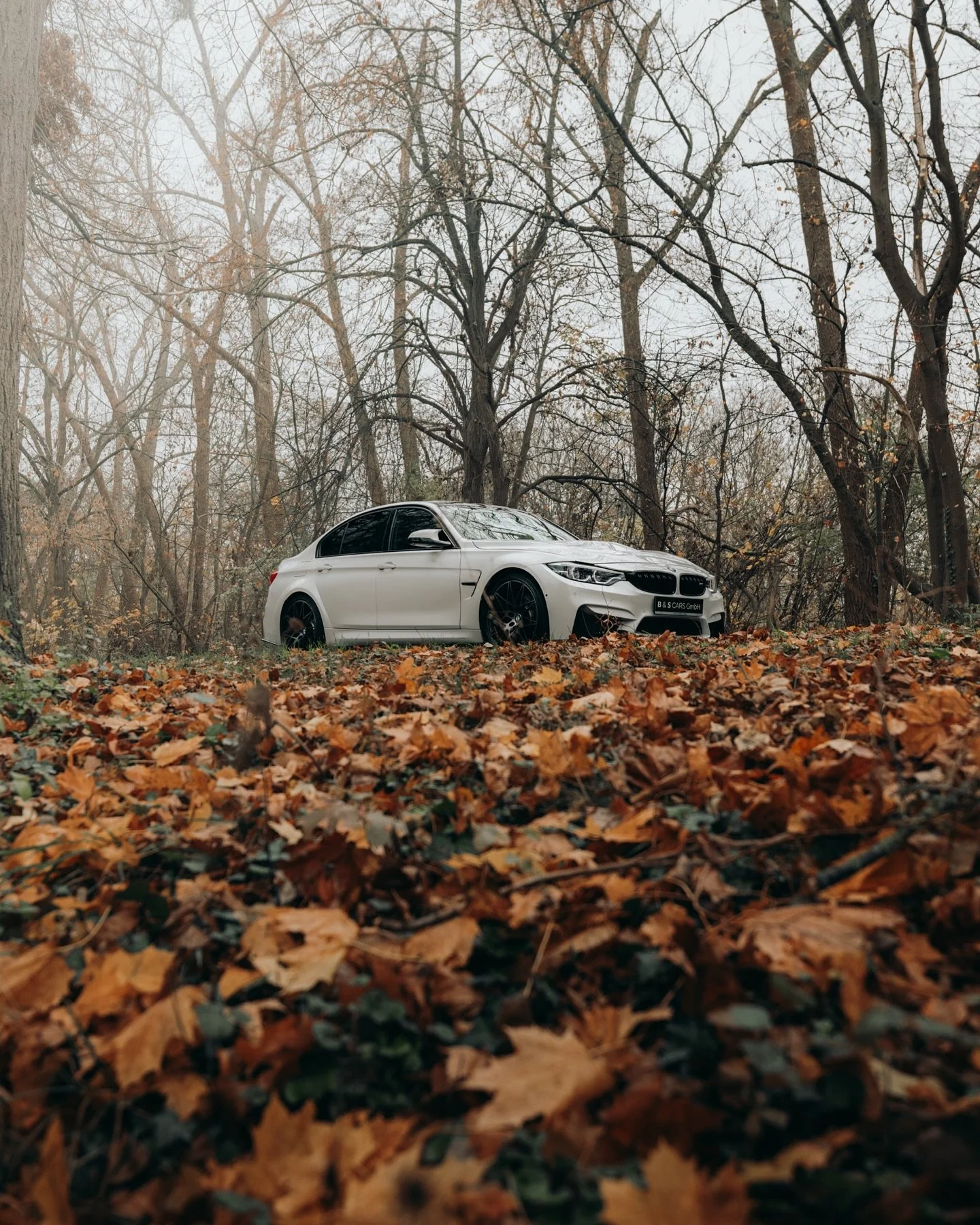 My latest work! 🏎️ Crafted assets and visuals for
@b_s.cars.

My go-to setup for dealership shoots:

Camera: Canon R5C - my favorite so far. 45MP gives me room to crop, but a lower-MP body is totally fine for this kind of work.

Lens: Canon RF 15-35