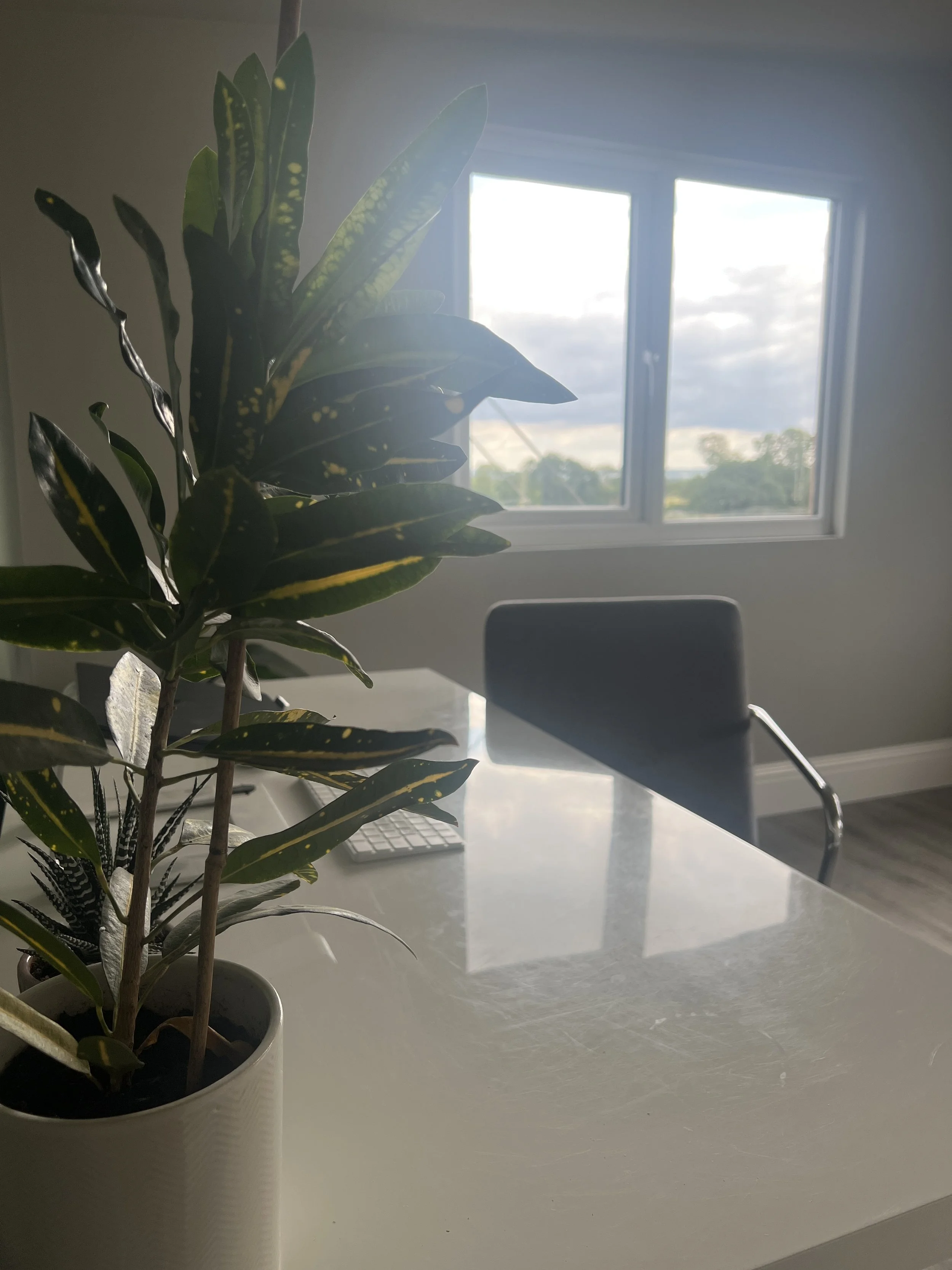 Indoor office space with a white table, a grey chair, a computer keyboard, and a potted plant with large green leaves near a window showing an outdoor view of trees and cloudy sky.