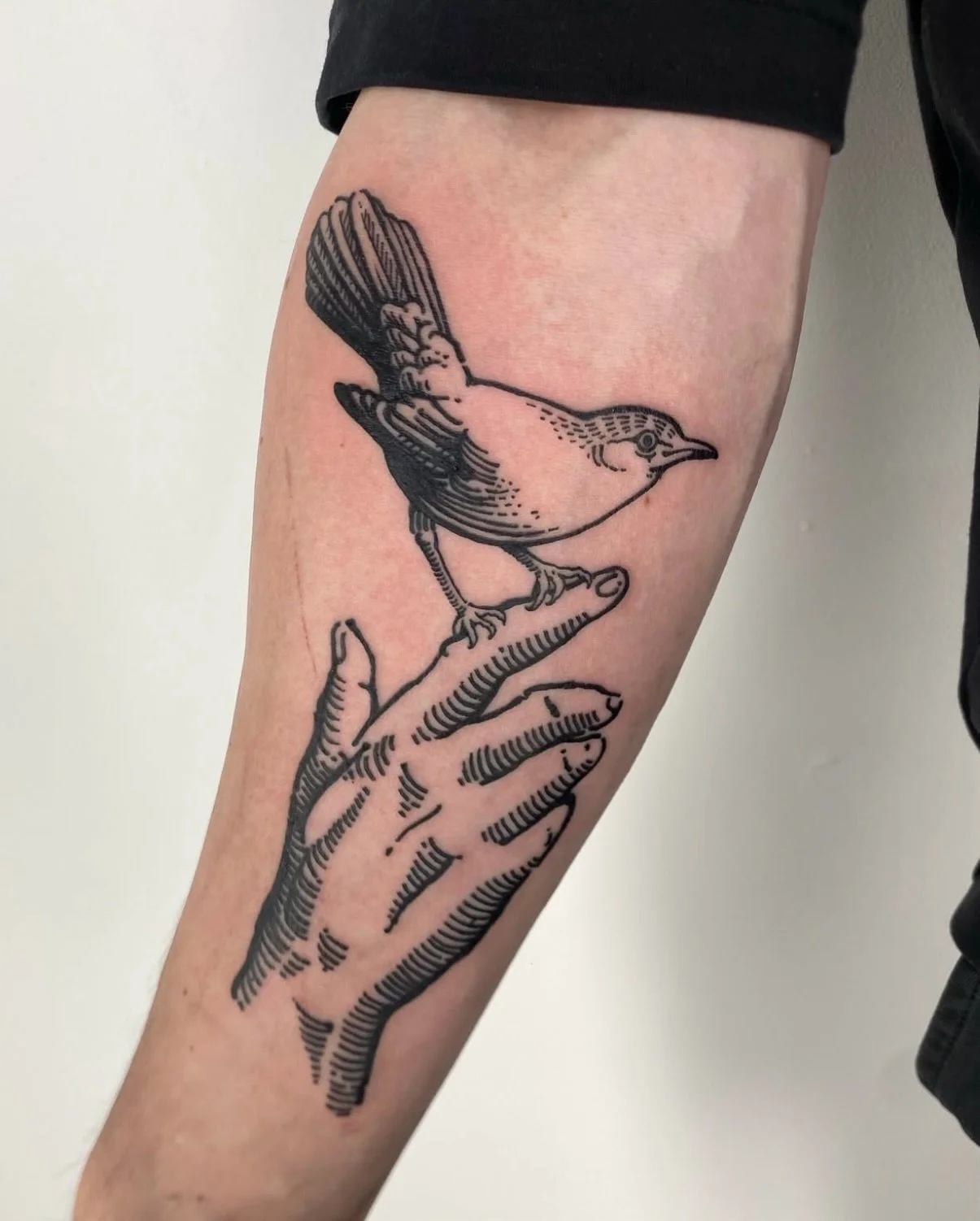 Birds 🦅
LONDON TAKING BOOKINGS 
@parliamenttattoo 
.
.
#woodcuttattoo#entching#tattoo#london#engravings