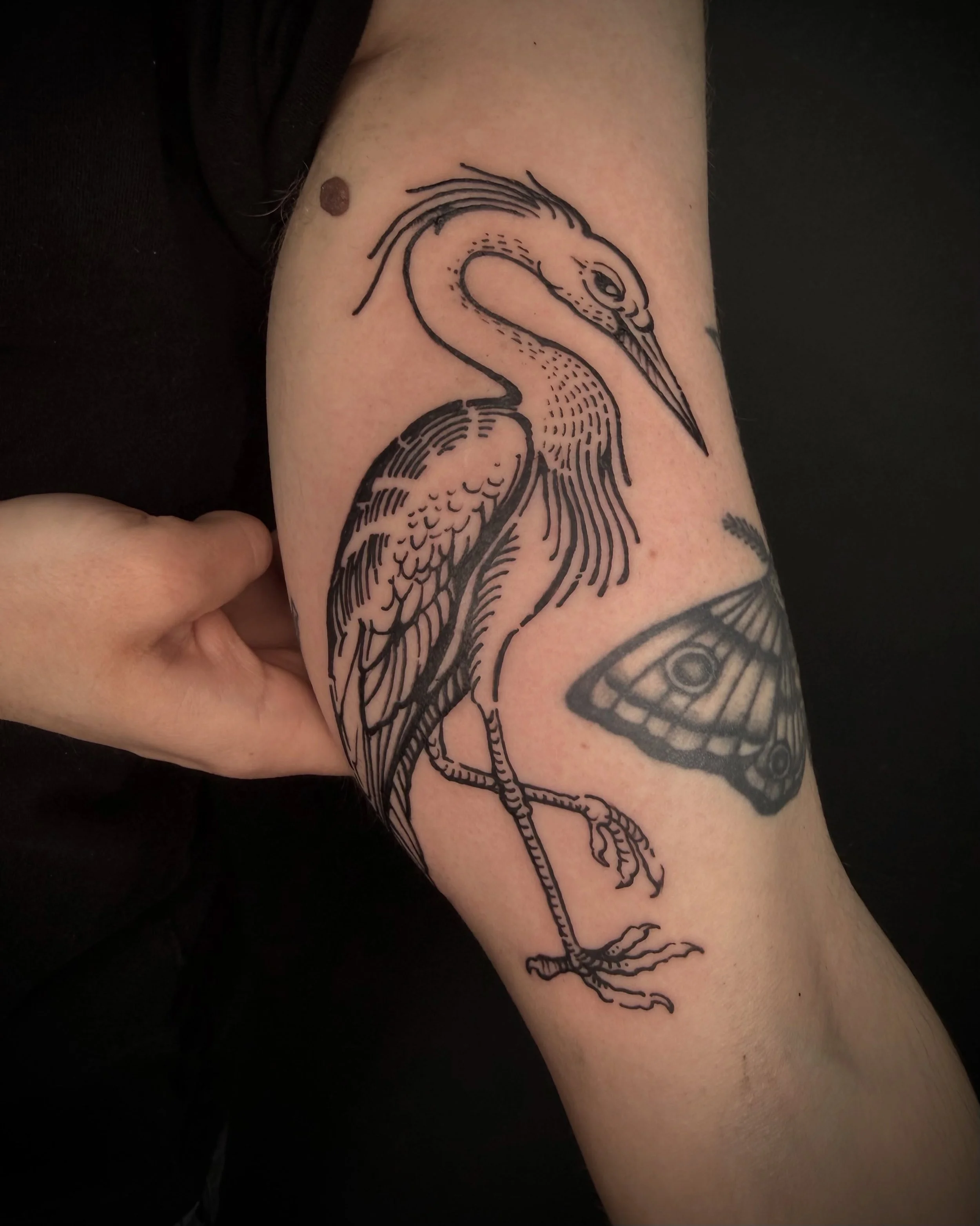 LONDON TAKING BOOKINGS 
Dm or email 📧 
Davidetrifoni86@gmail.com 
.
.
.
#engraving#tattoos#woodcut#crane#londo
